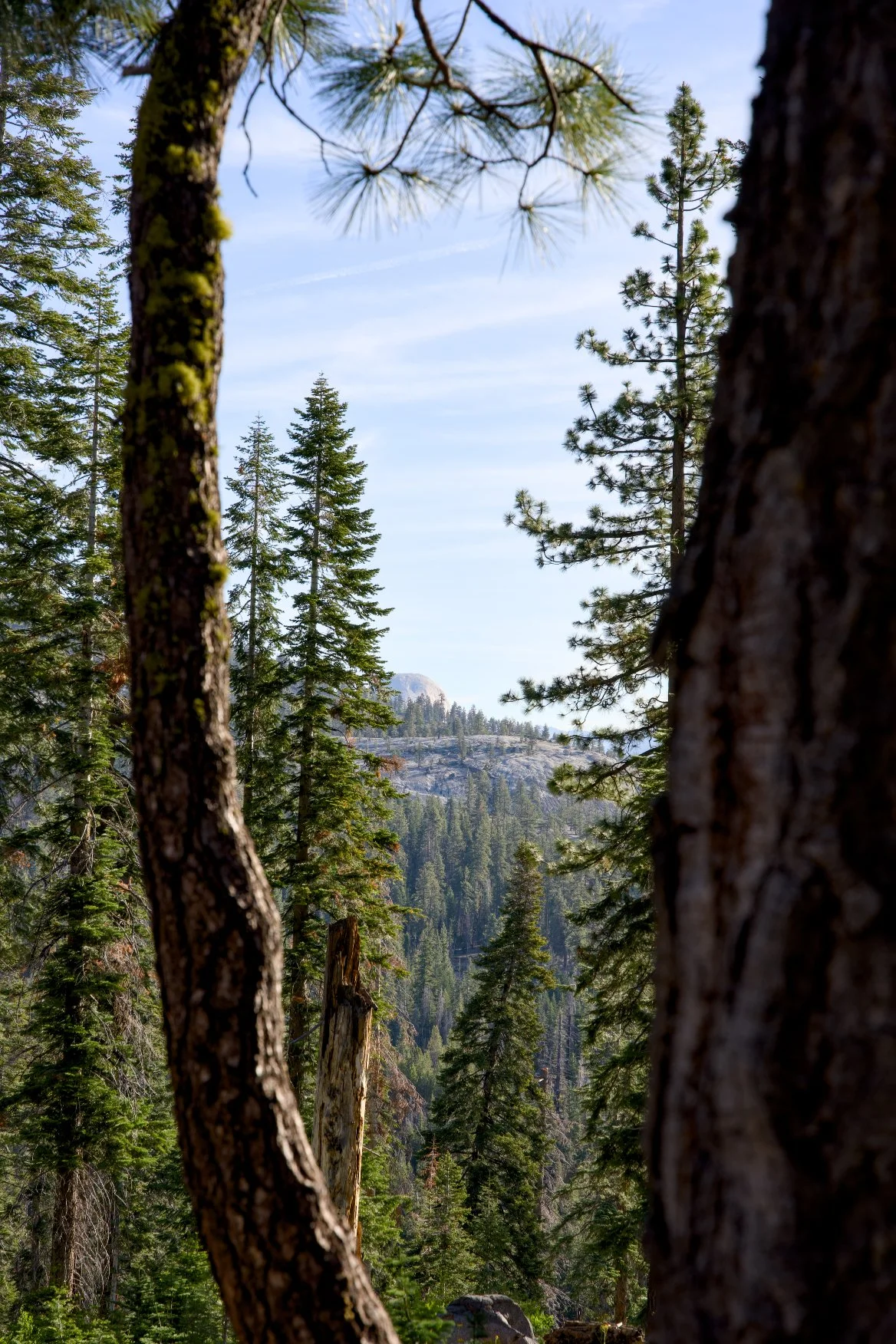 _DSC2613.jpg