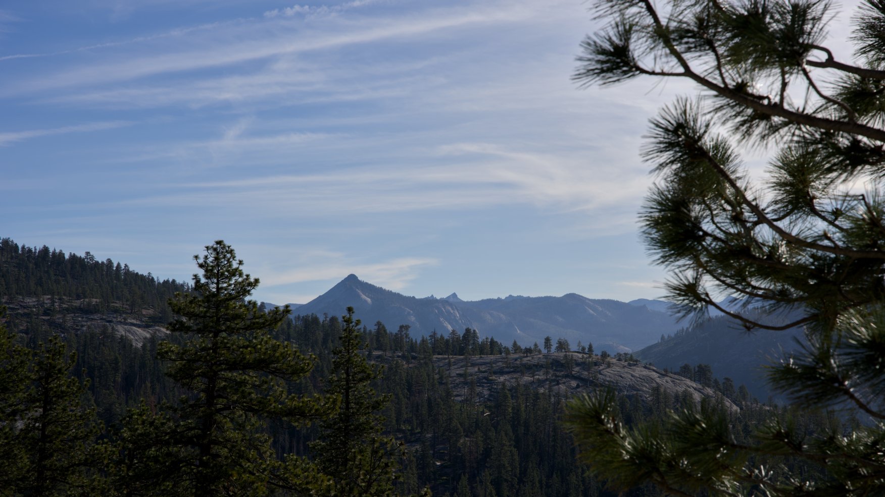_DSC2626.jpg