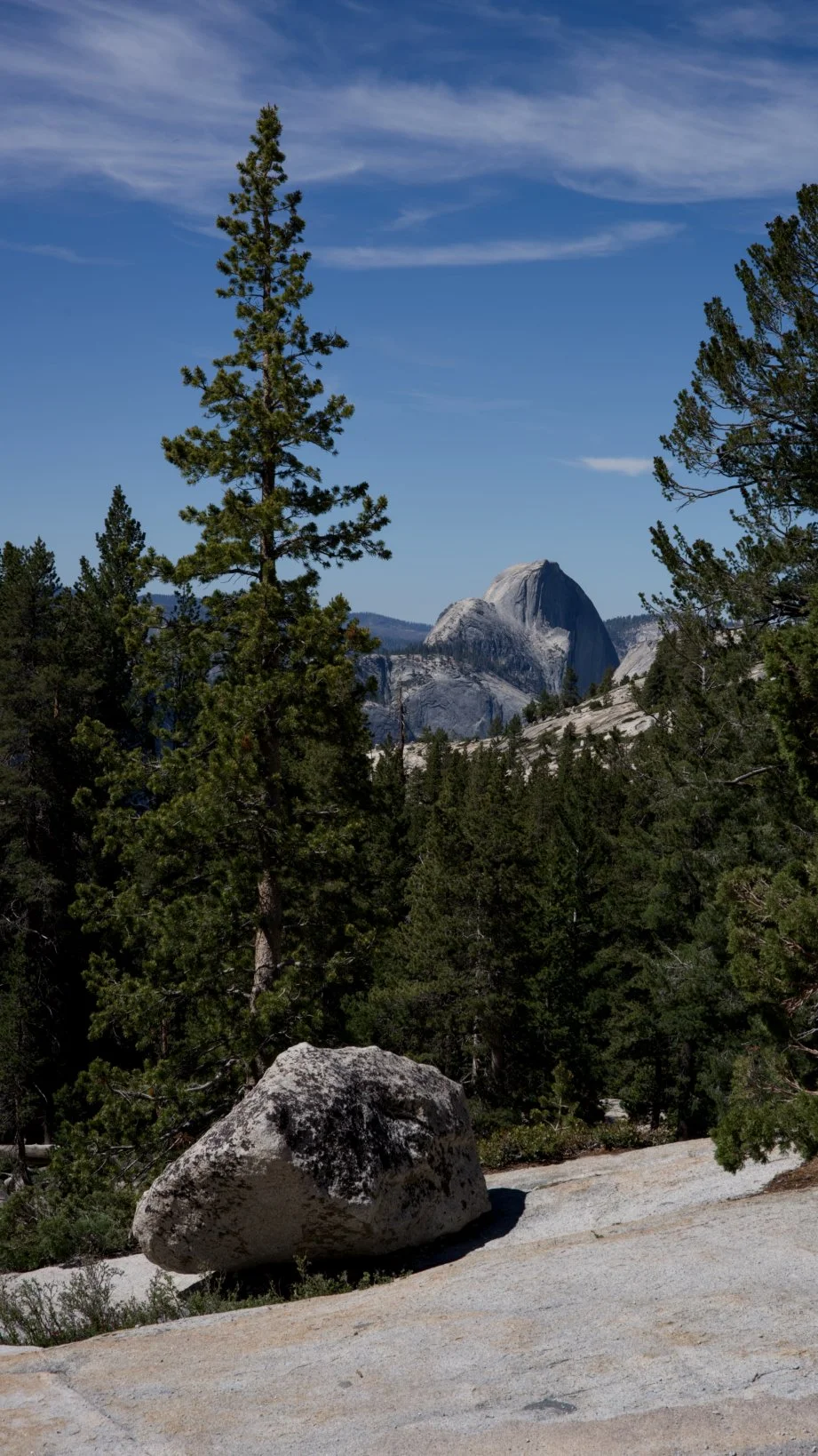 _DSC3081.jpg
