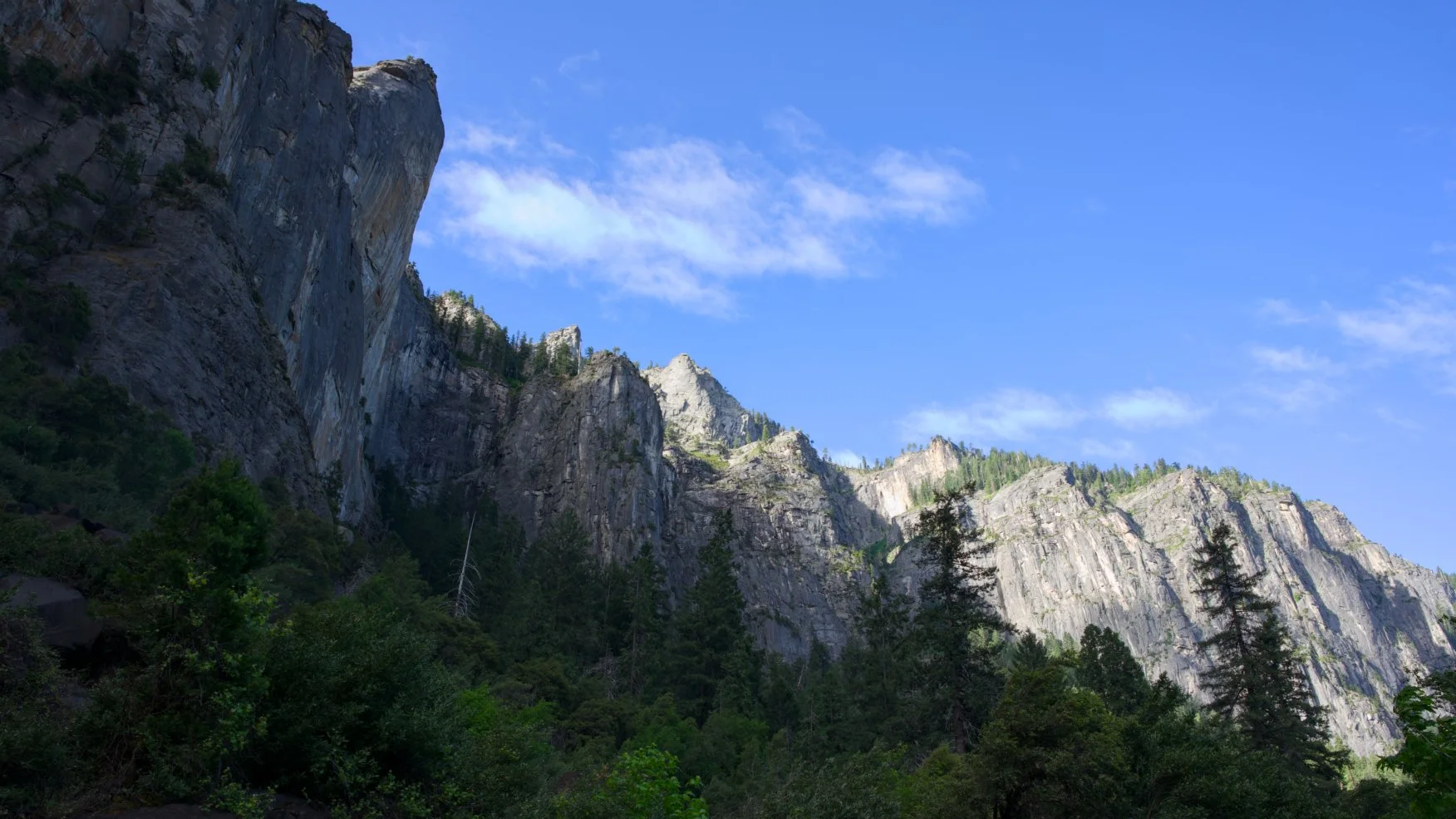 _DSC2958.jpg
