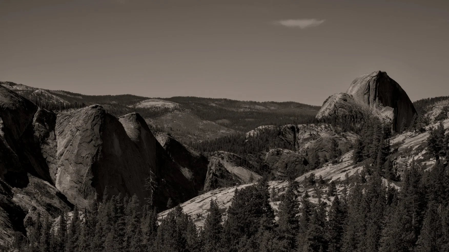 _DSC3095.jpg