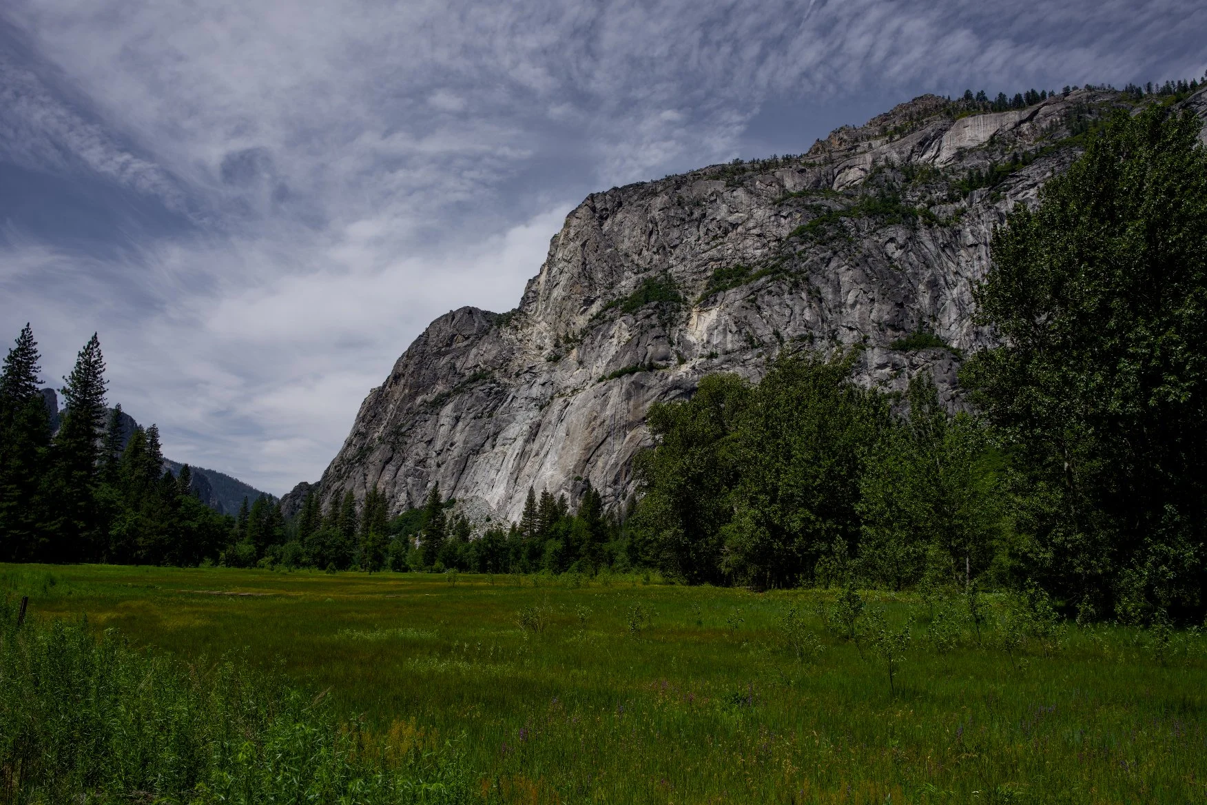 _DSC2888.jpg