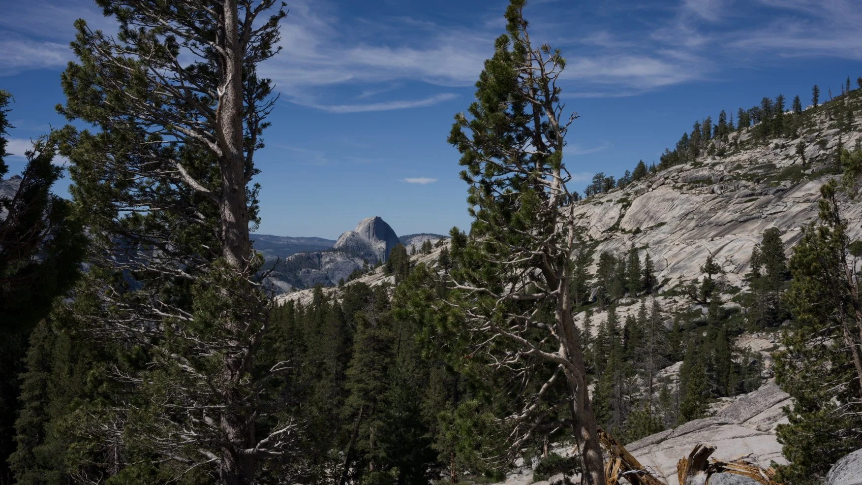 _DSC3076.jpg
