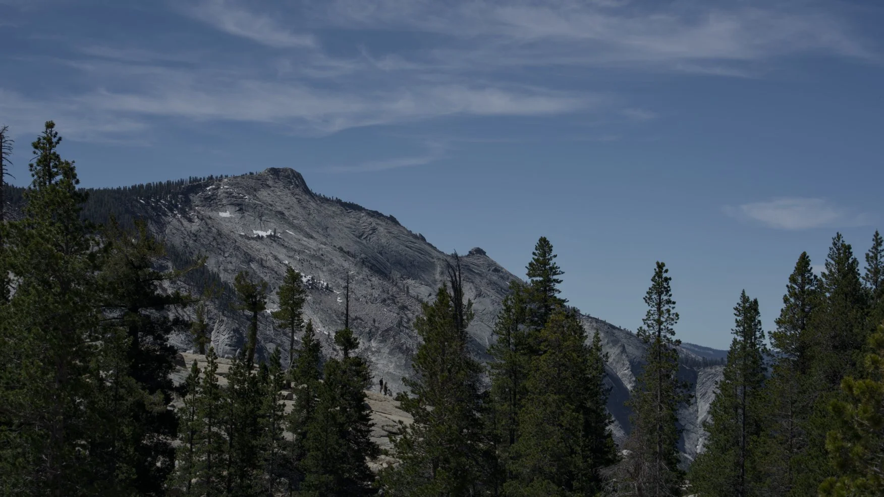 _DSC3122.jpg
