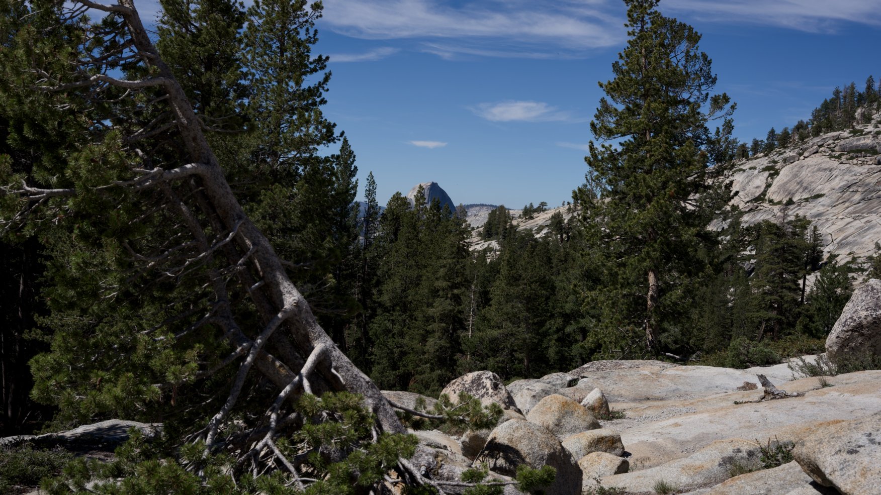 _DSC3088.jpg