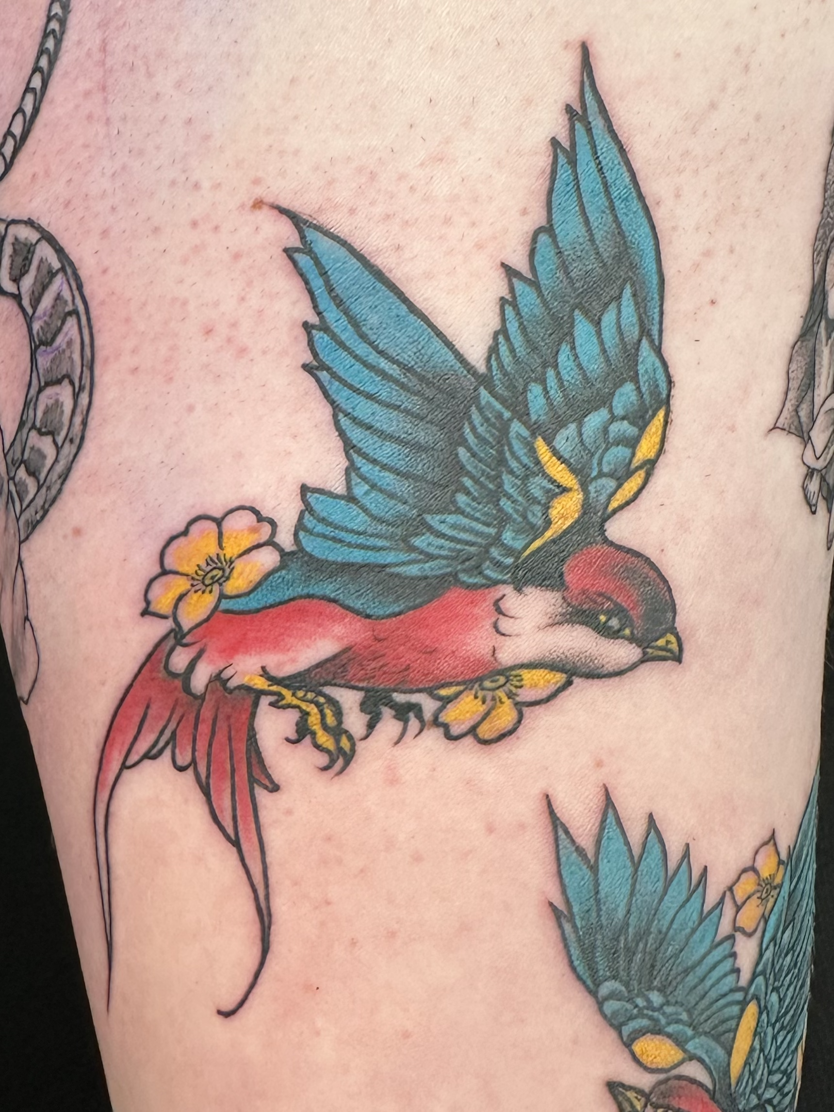 Traditional Colored Swallow Bird Tattoo.png