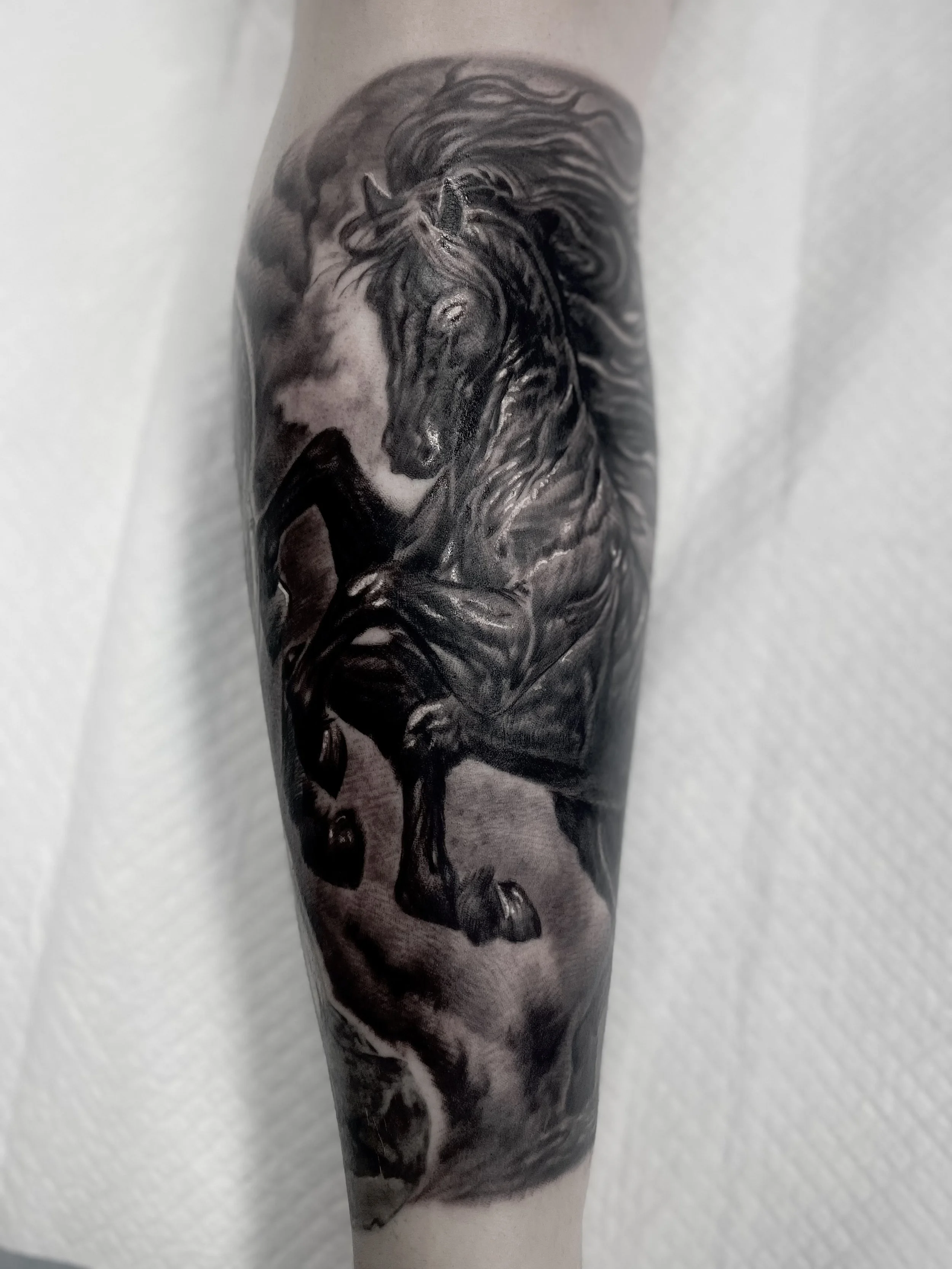 Black and Grey Stallion Tattoo.jpeg