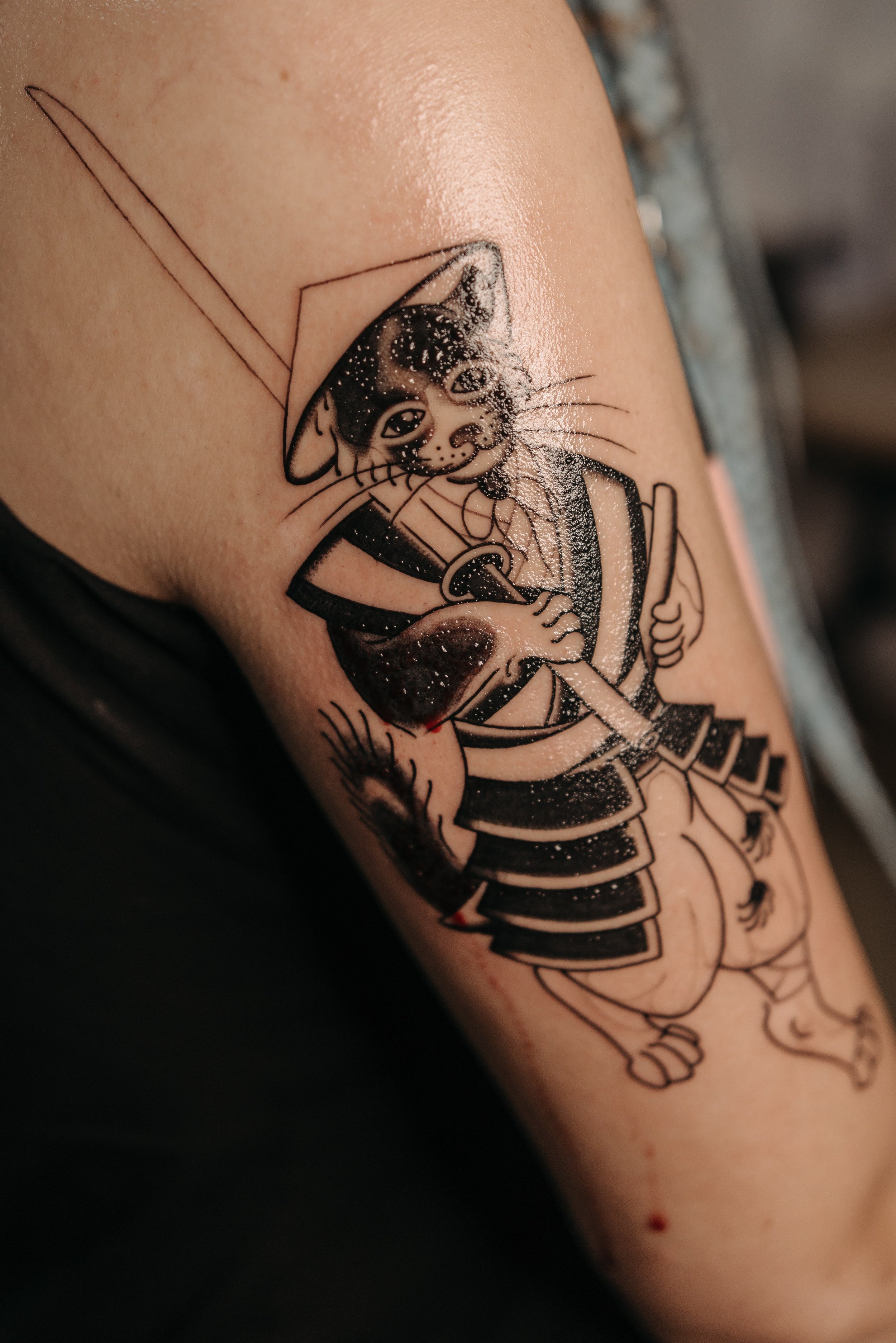 Cat Tattoos: 47 Best Tattoo Artists And Ideas | Meowpassion