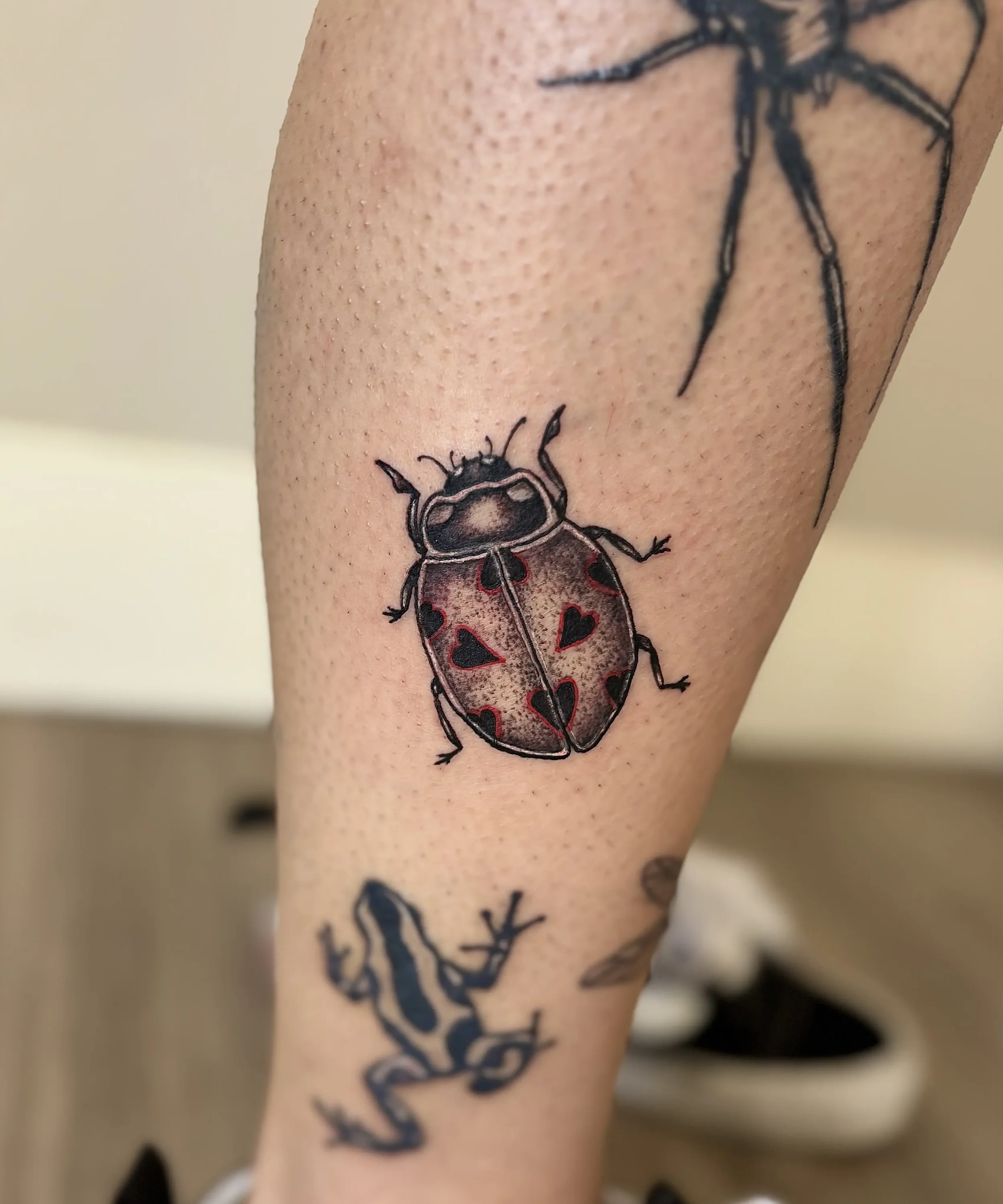 99E7212A-77DF-46E0-9AA0-FCB5978D0BC5 (1).webp