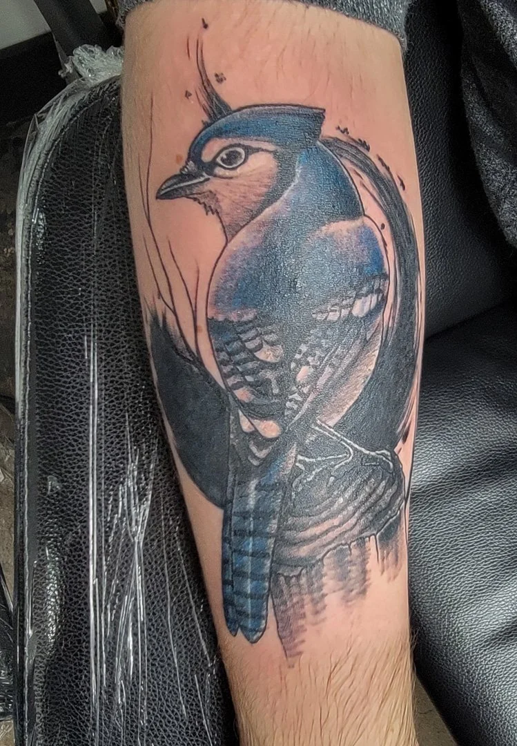 Illustrative Blue Jay Tattoo.jpg