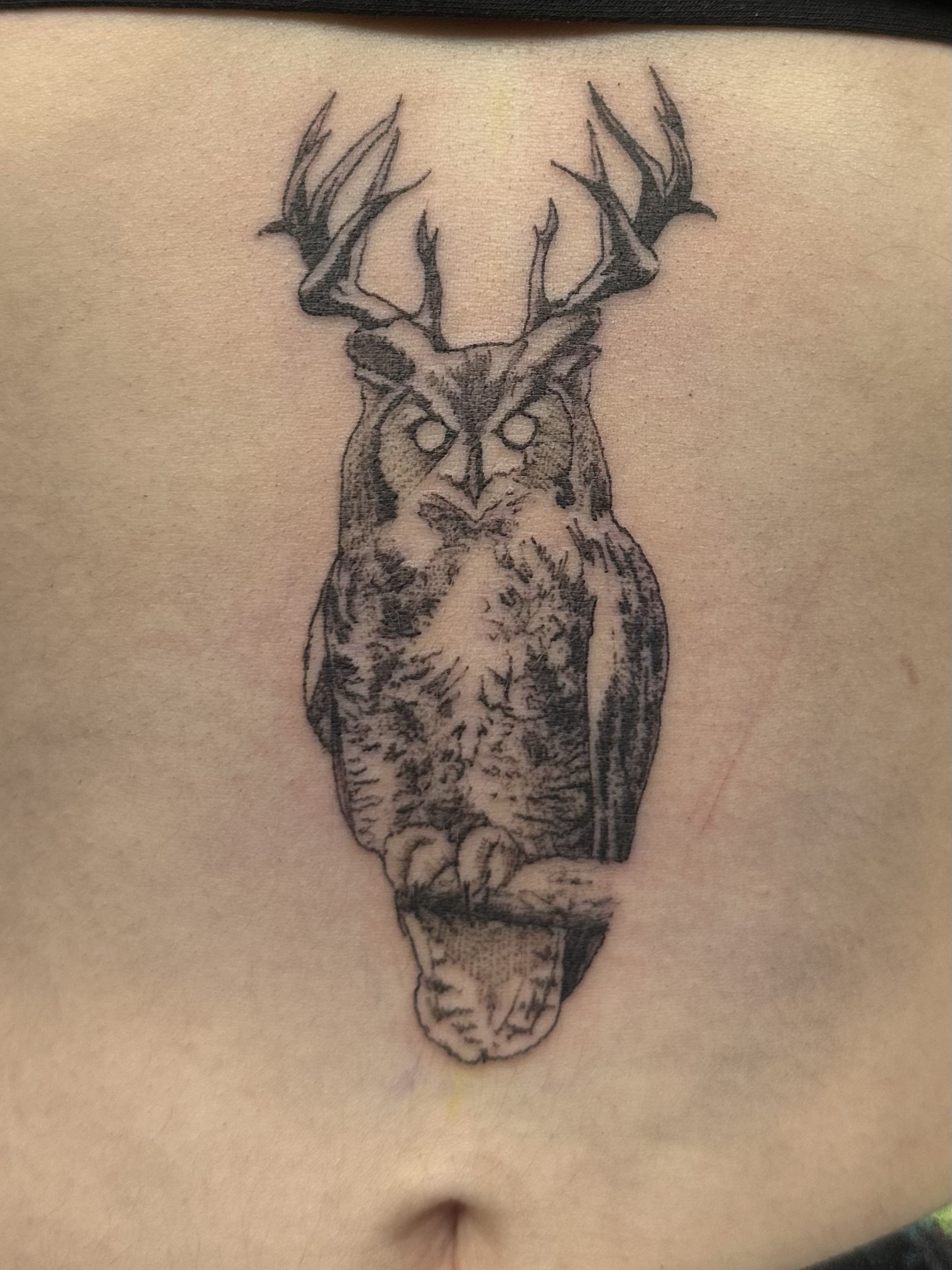 Owl with Antlers Tattoo.png