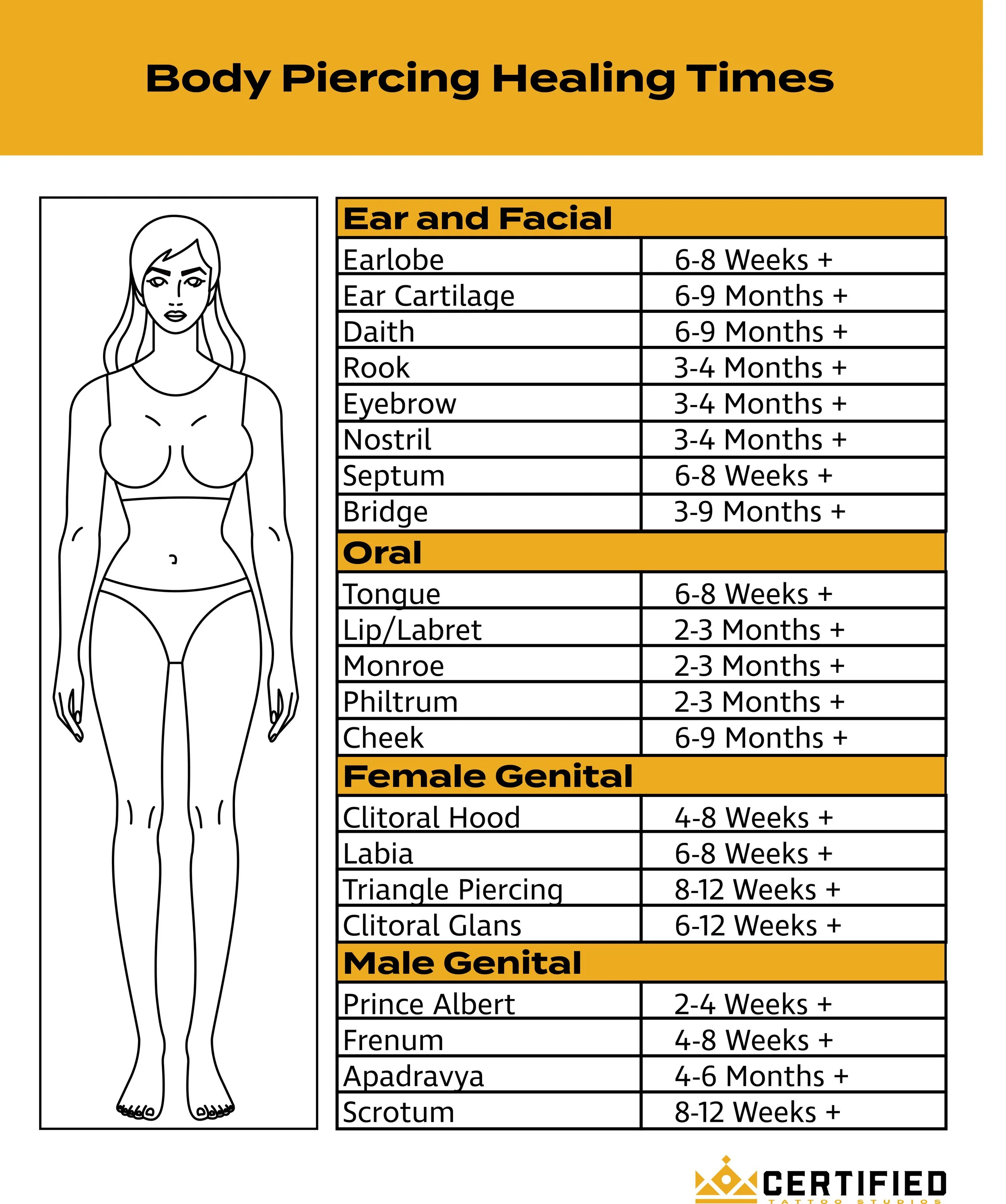 Piercing Format Ultimate Guide to Body Piercings: Types, Trends & Aftercare — Certified ...