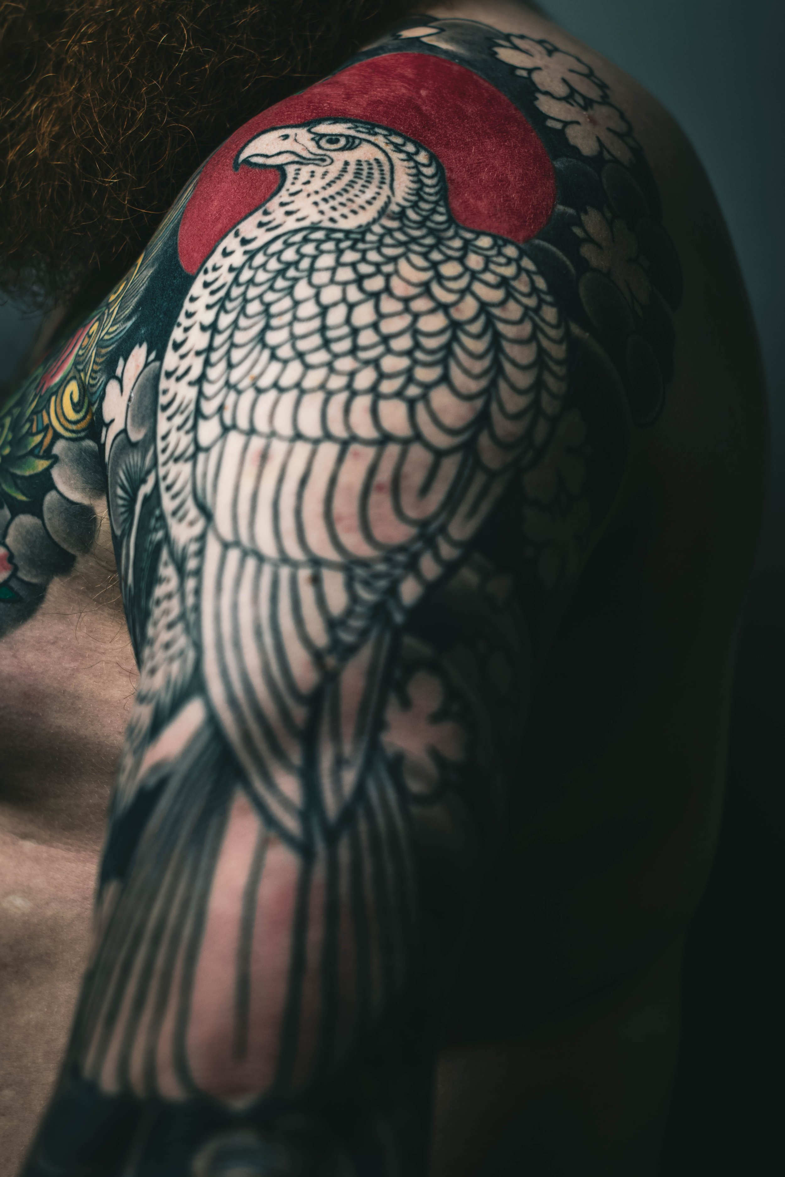 12+ Small Eagle Tattoo Designs and Ideas | Small eagle tattoo, Small tattoos,  Falcon tattoo