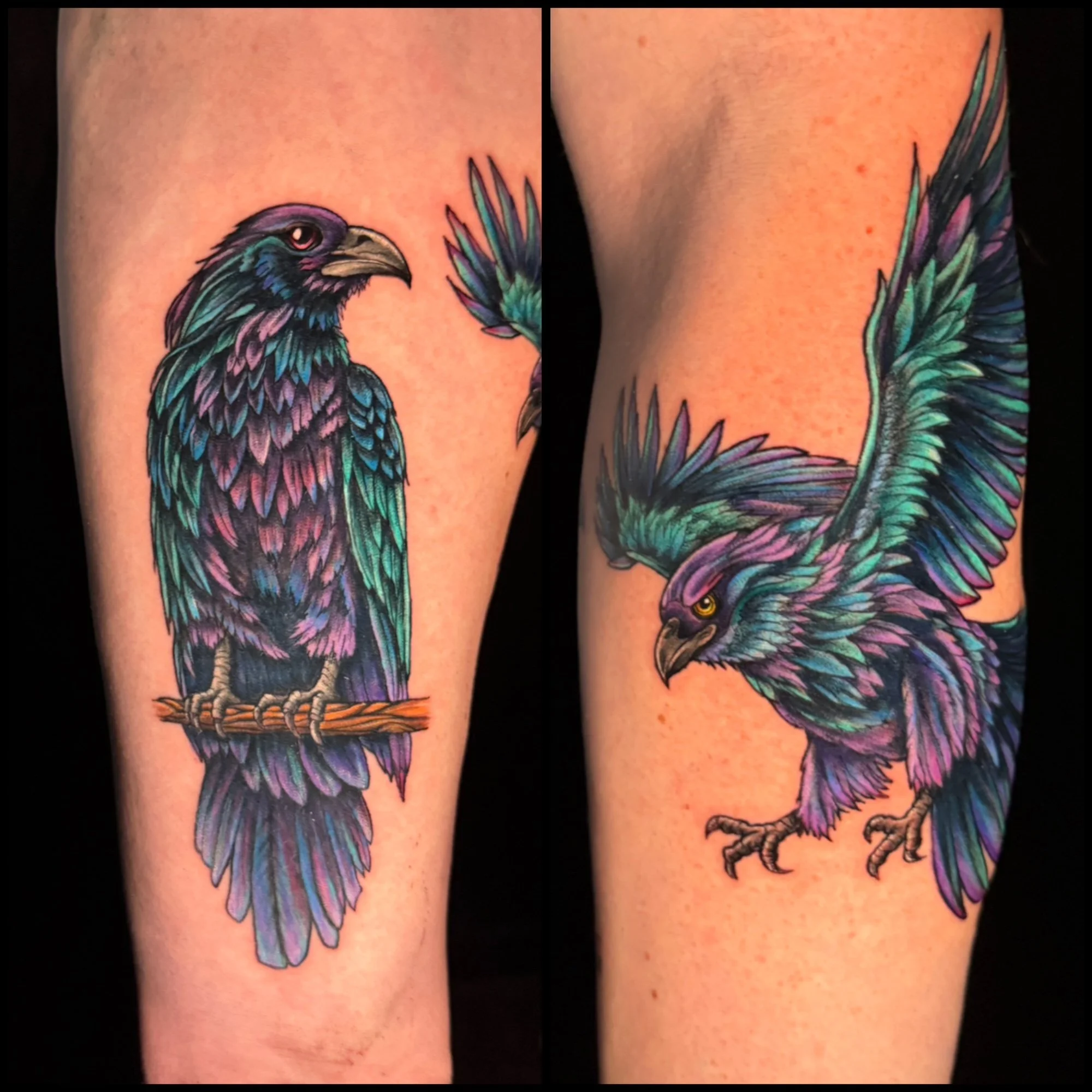 Color Raven Tattoo.jpeg