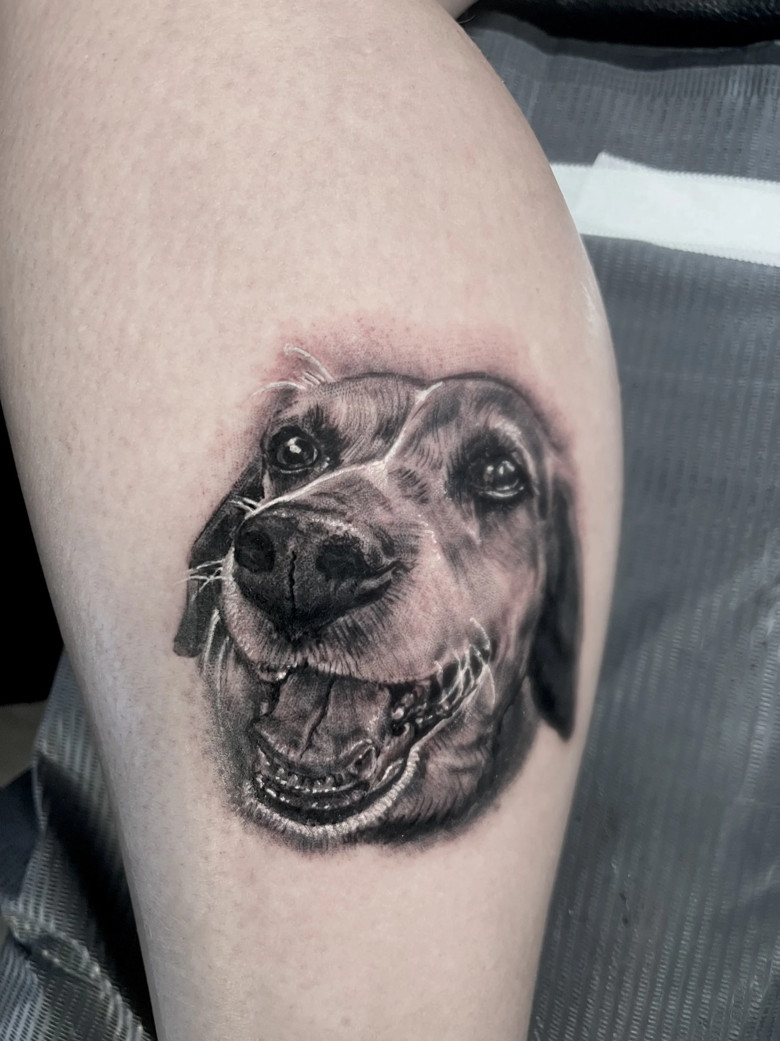 Black and Grey Pet Realism Tattoo.jpeg