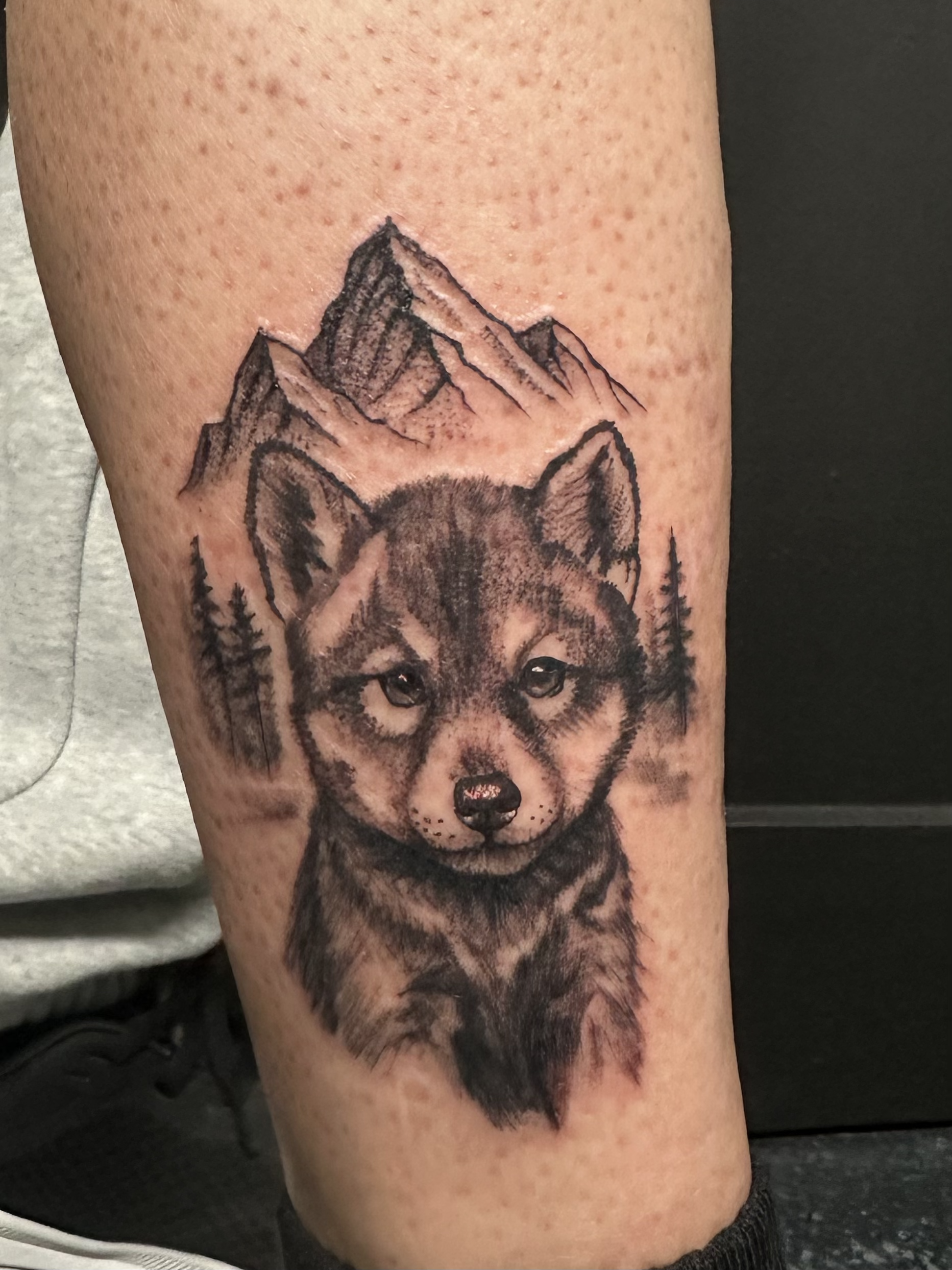 Husky with Mountains Tattoo.png