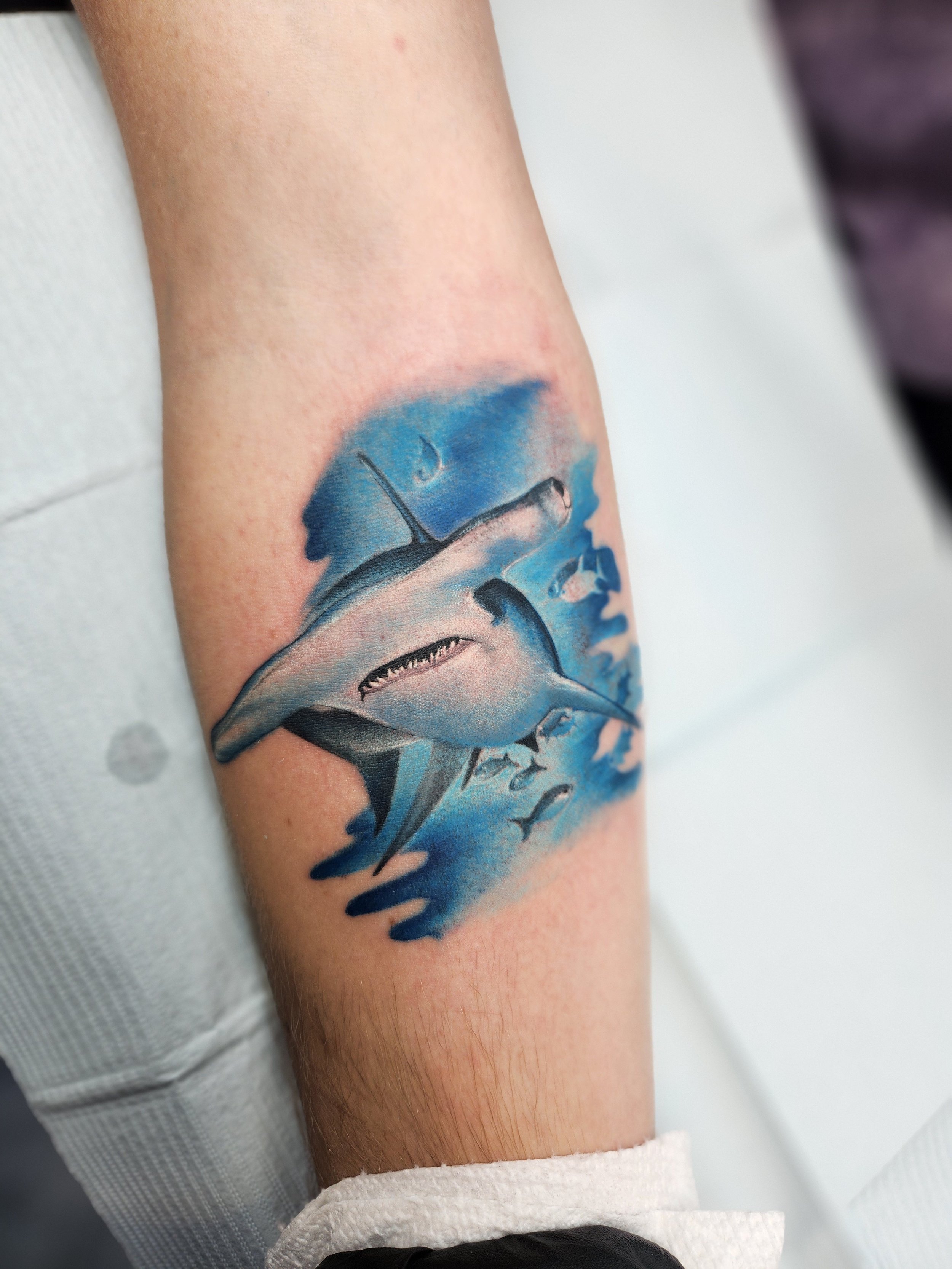 Blue Hammerhead Shark Illustrative Tattoo