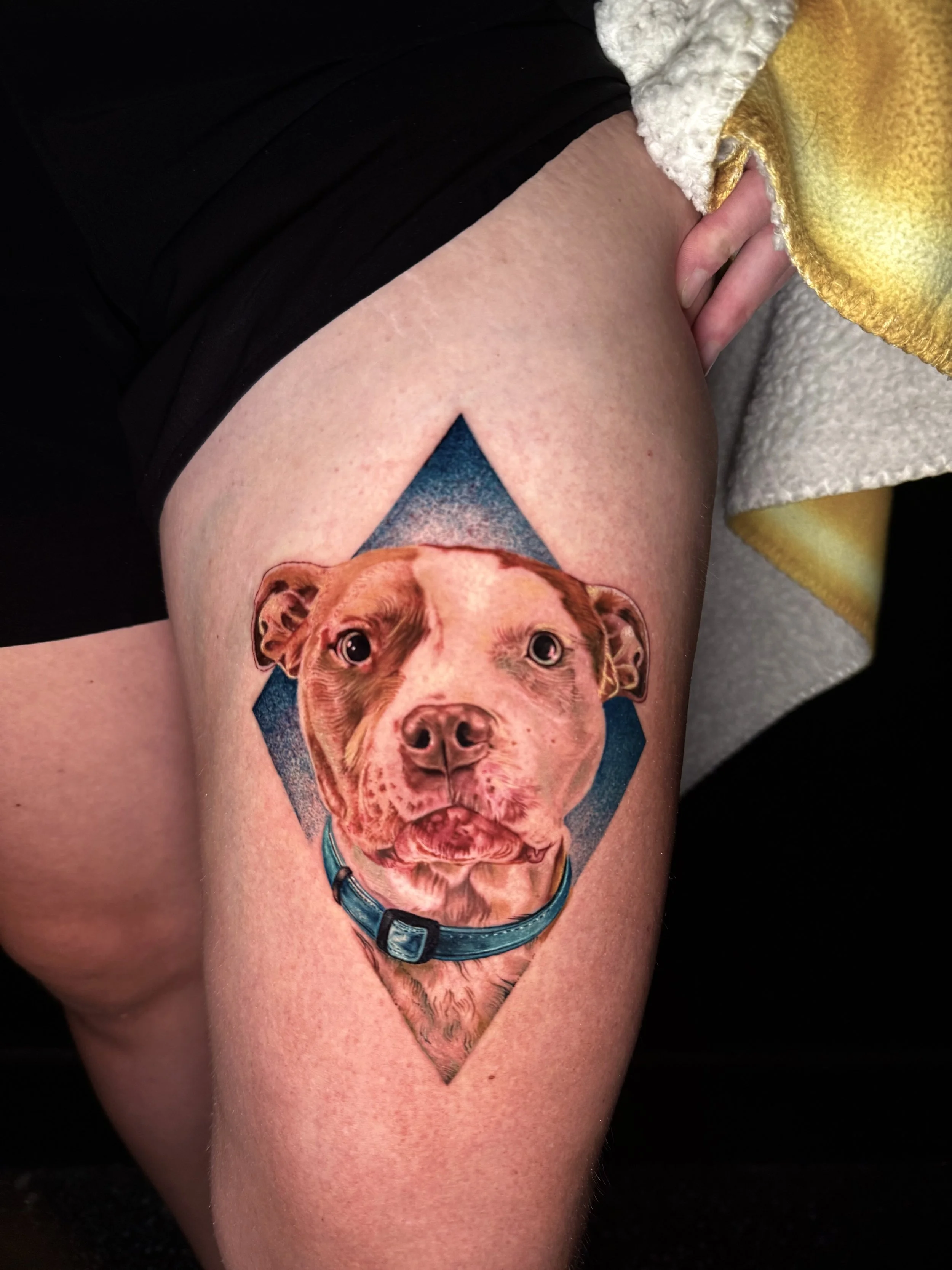 Color Realism Tattoo