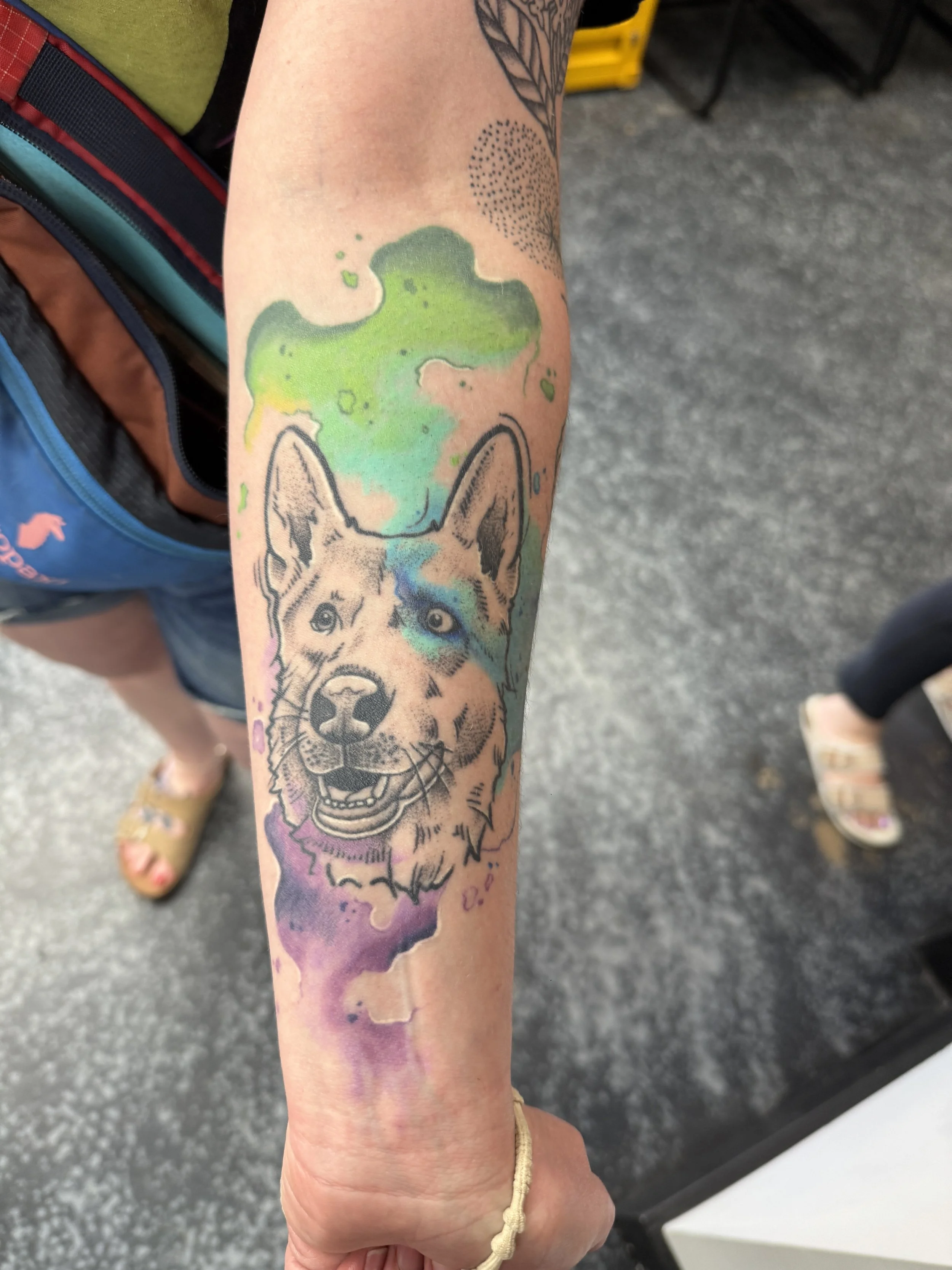 Custom Watercolor Pet Portrait Tattoo.JPG