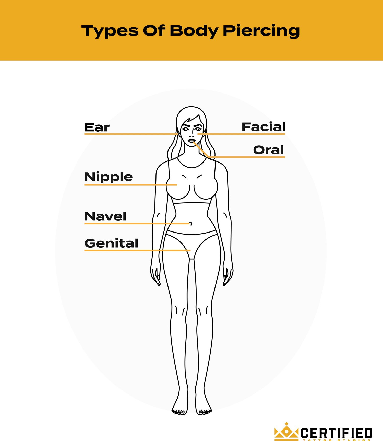 Piercing Format Ultimate Guide to Body Piercings: Types, Trends & Aftercare — Certified ...