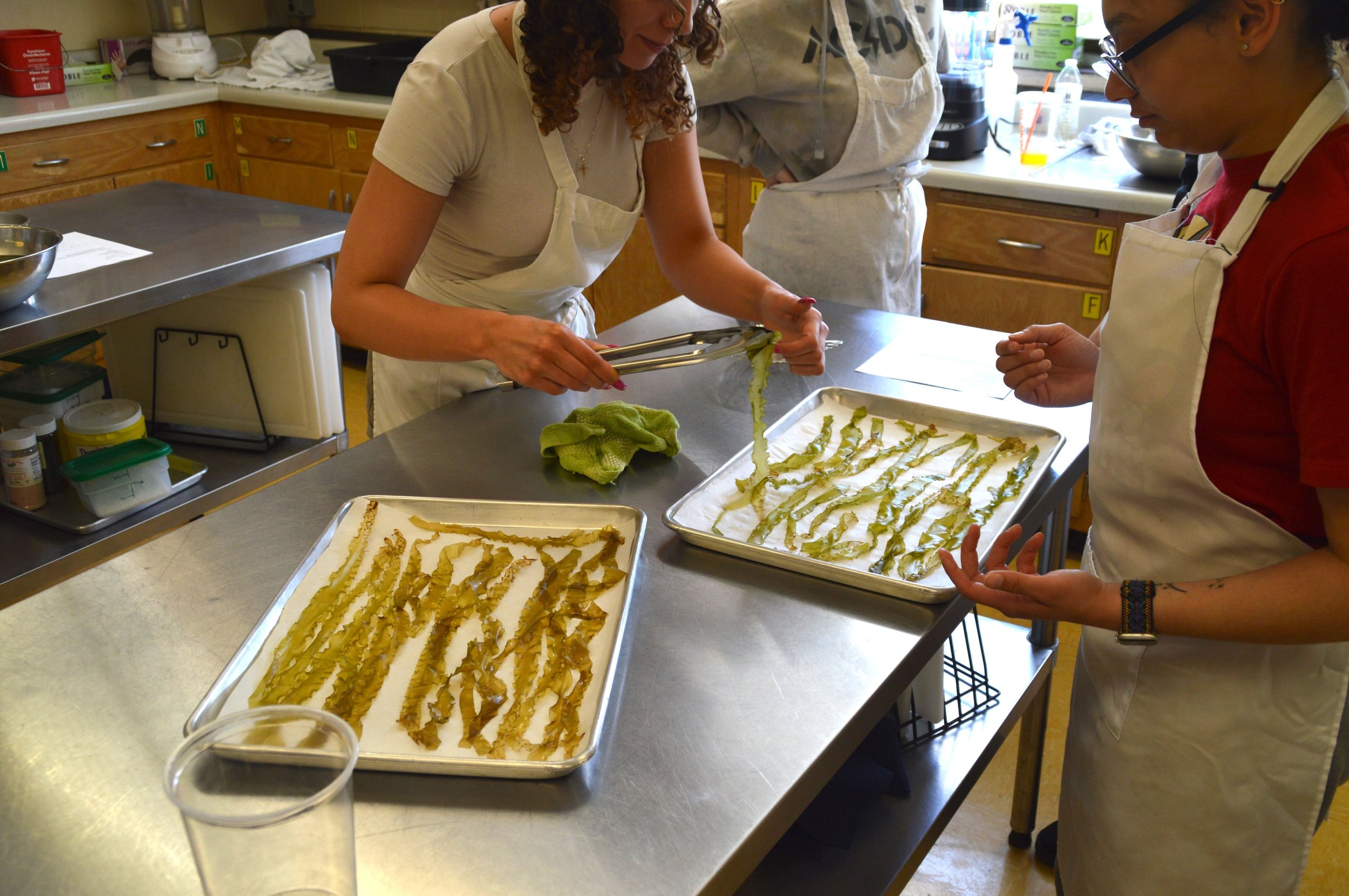 Help Bring Seaweed Education to Classrooms