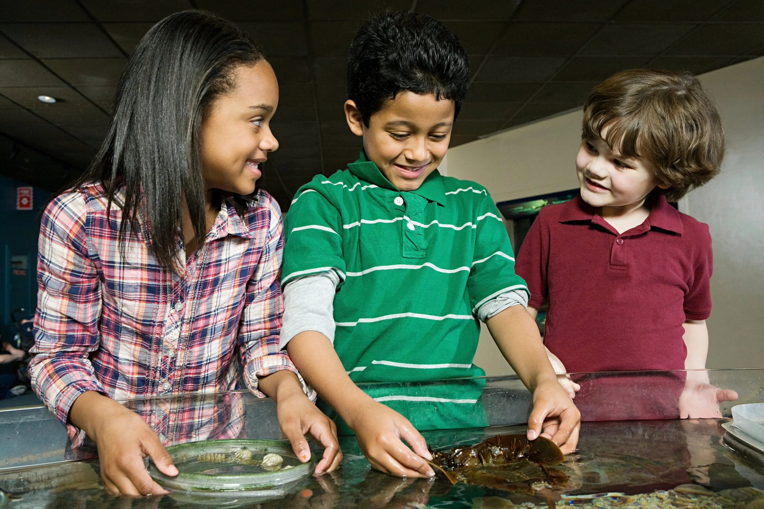 Why Students Need Blue Foods in Climate Education