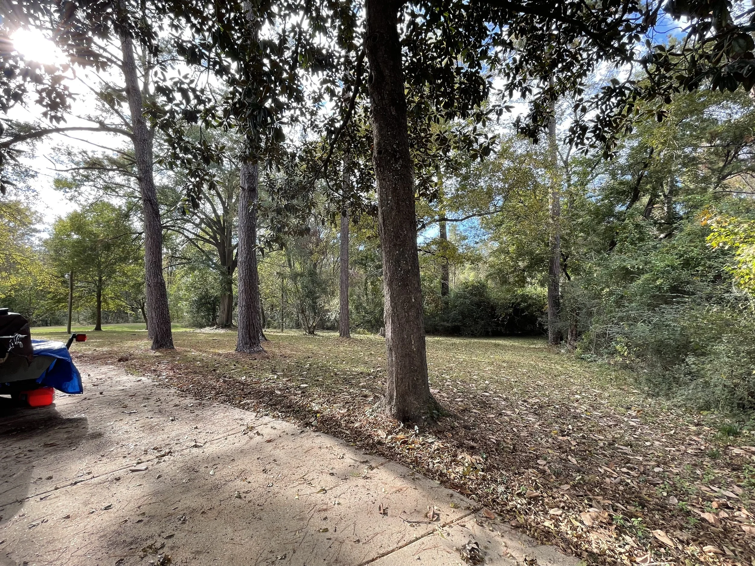 dale back yard and pad 2.jpg