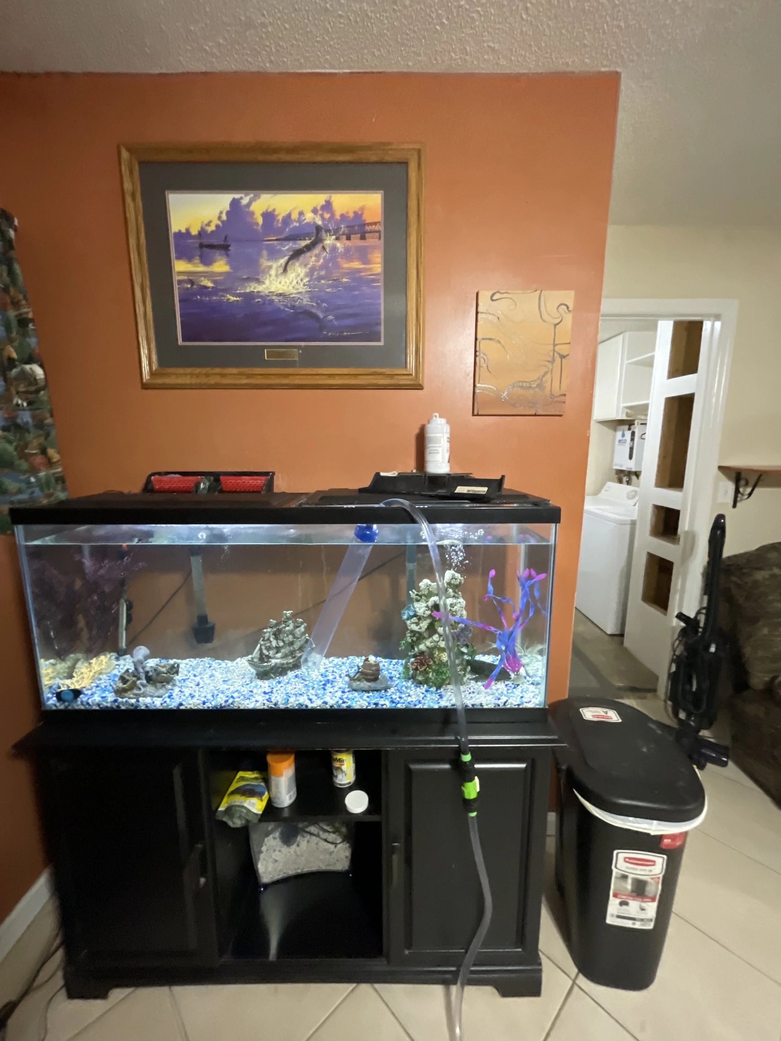 31 full tank view.jpg