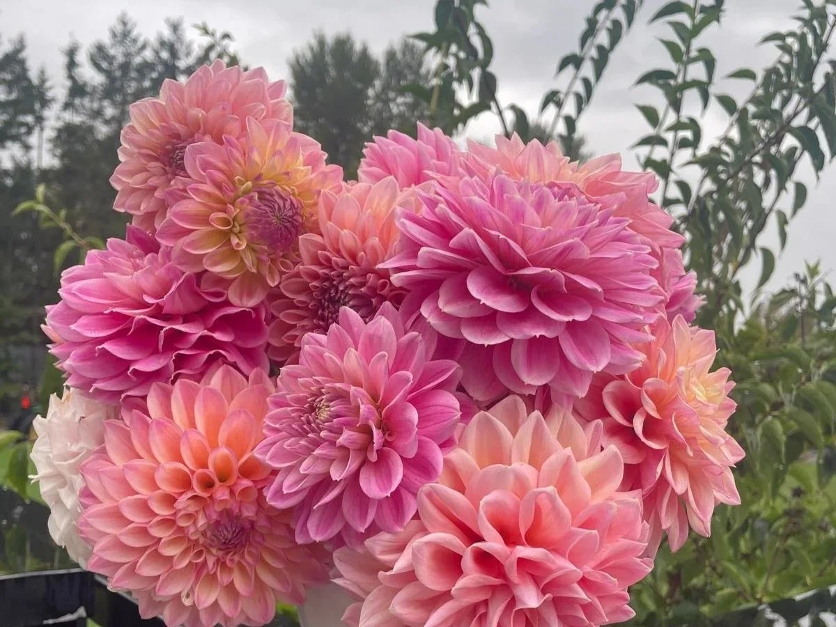 WhatsApp Image 2026-03-16 at 18.44.40 (8).jpg