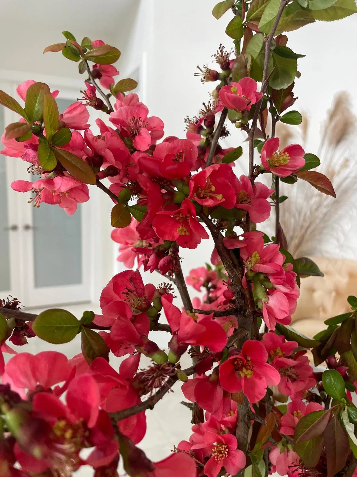 WhatsApp Image 2026-03-16 at 18.52.25 (11).jpeg