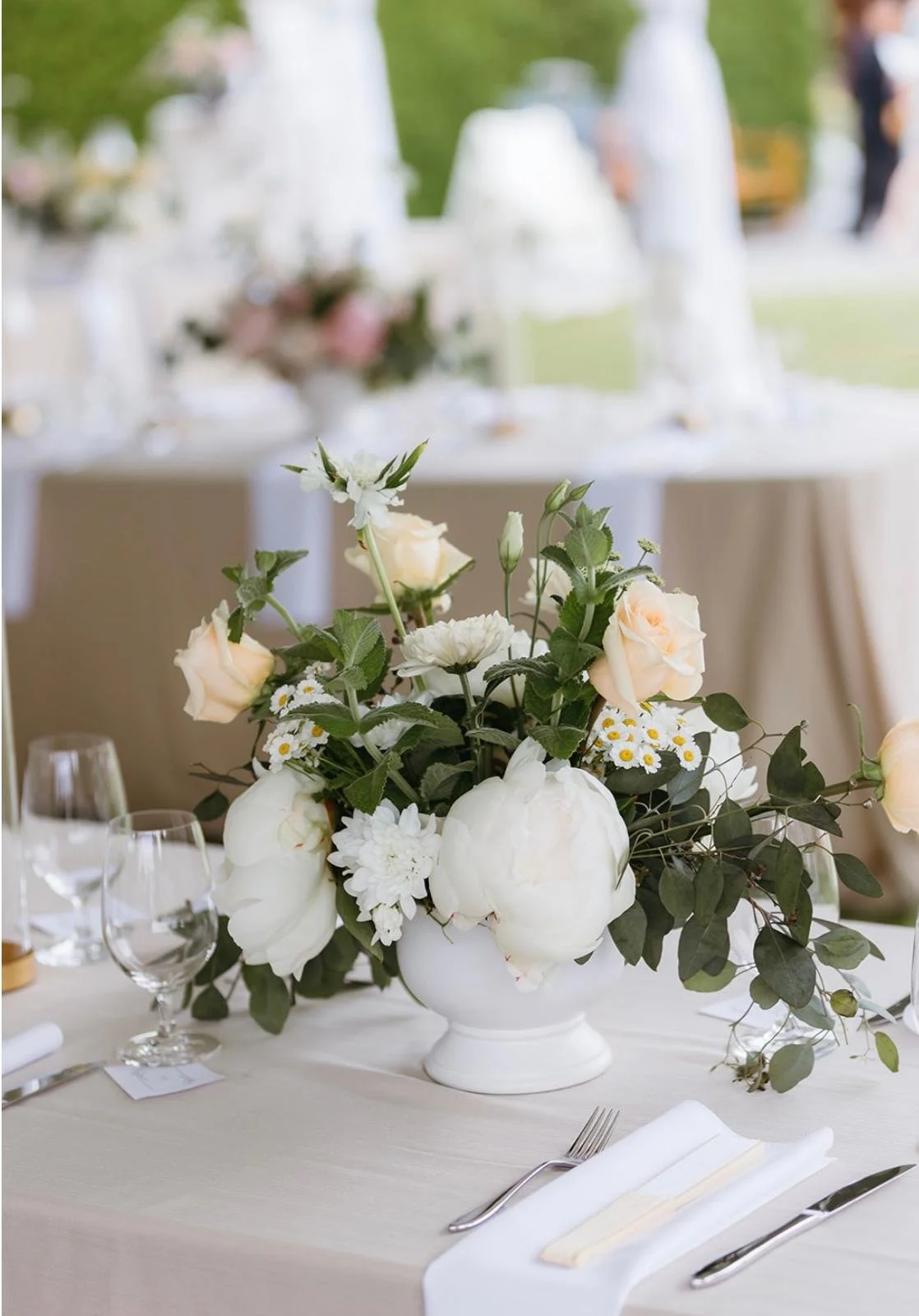 WhatsApp Image 2026-01-08 at 1.33.17 PM.jpeg