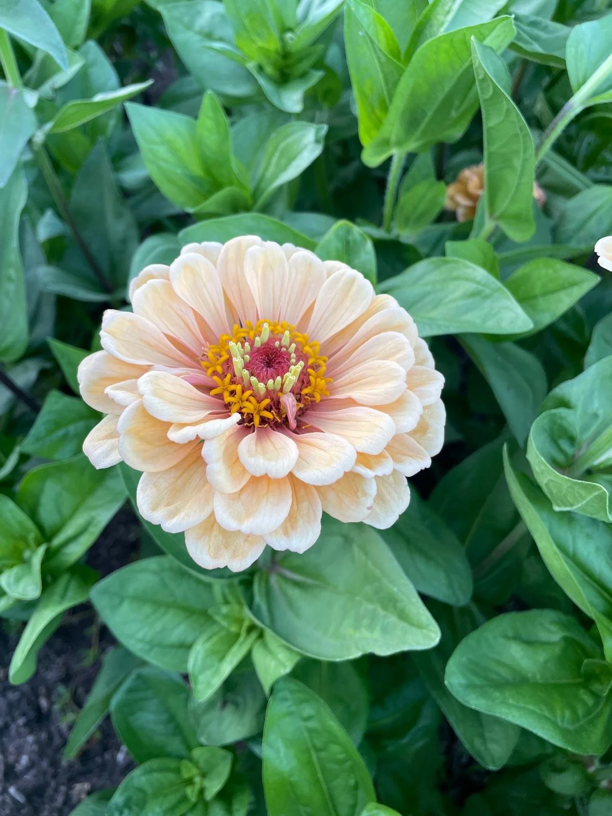 WhatsApp Image 2026-03-16 at 18.52.23 (1).jpeg