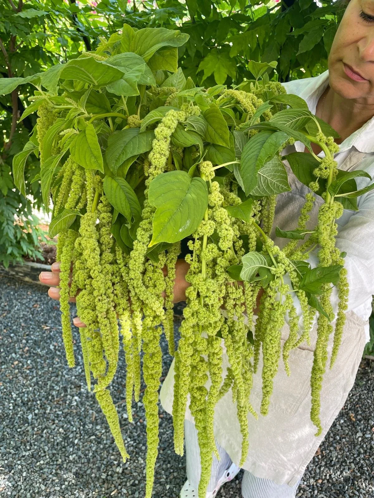 WhatsApp Image 2026-03-16 at 18.44.40 (2).jpeg