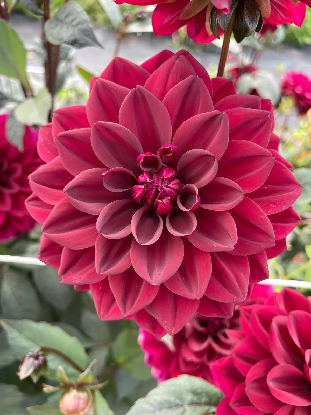 WhatsApp Image 2026-03-16 at 18.52.25 (3).jpeg