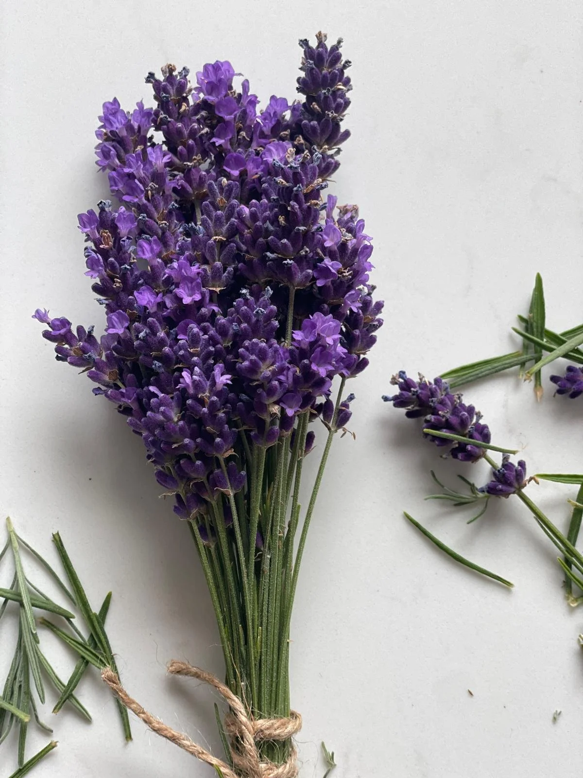 WhatsApp Image 2026-03-16 at 18.44.40 (1).jpeg