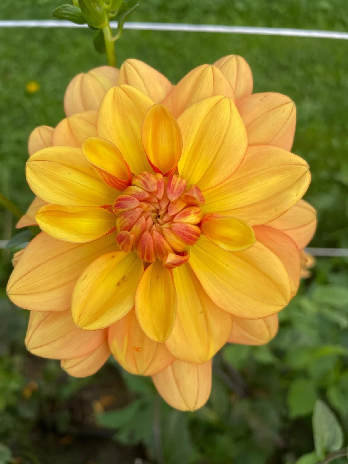 WhatsApp Image 2026-03-16 at 18.52.25 (2).jpeg