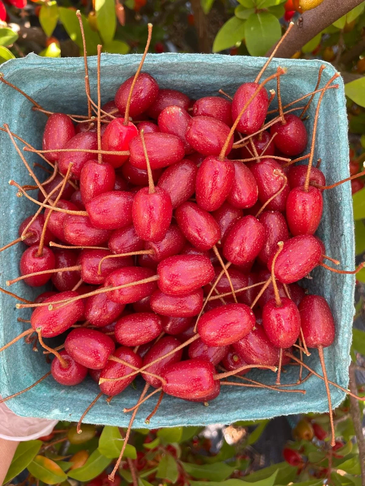 WhatsApp Image 2026-03-16 at 18.44.40.jpeg