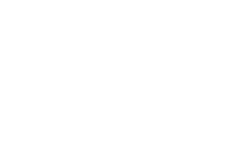 Artifact Foods + Flowers