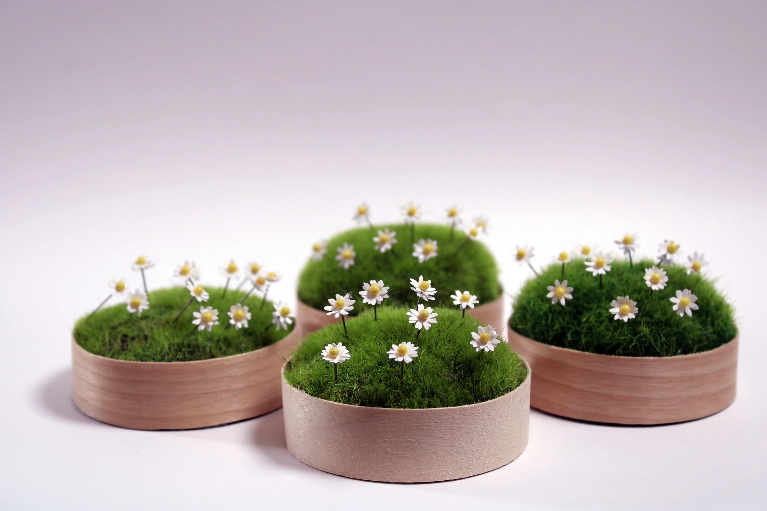 Copy of IMG_2726.JPG