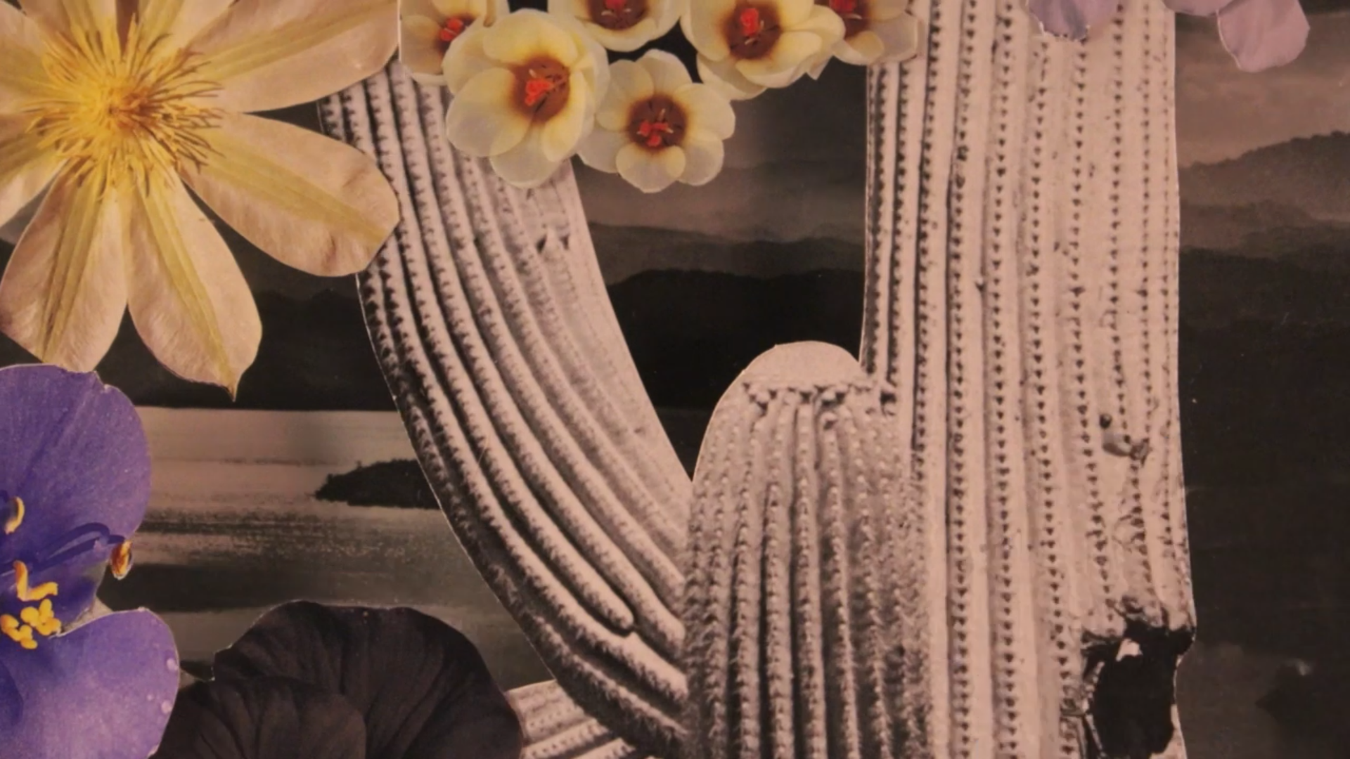 bckgrnd image landing animation.png