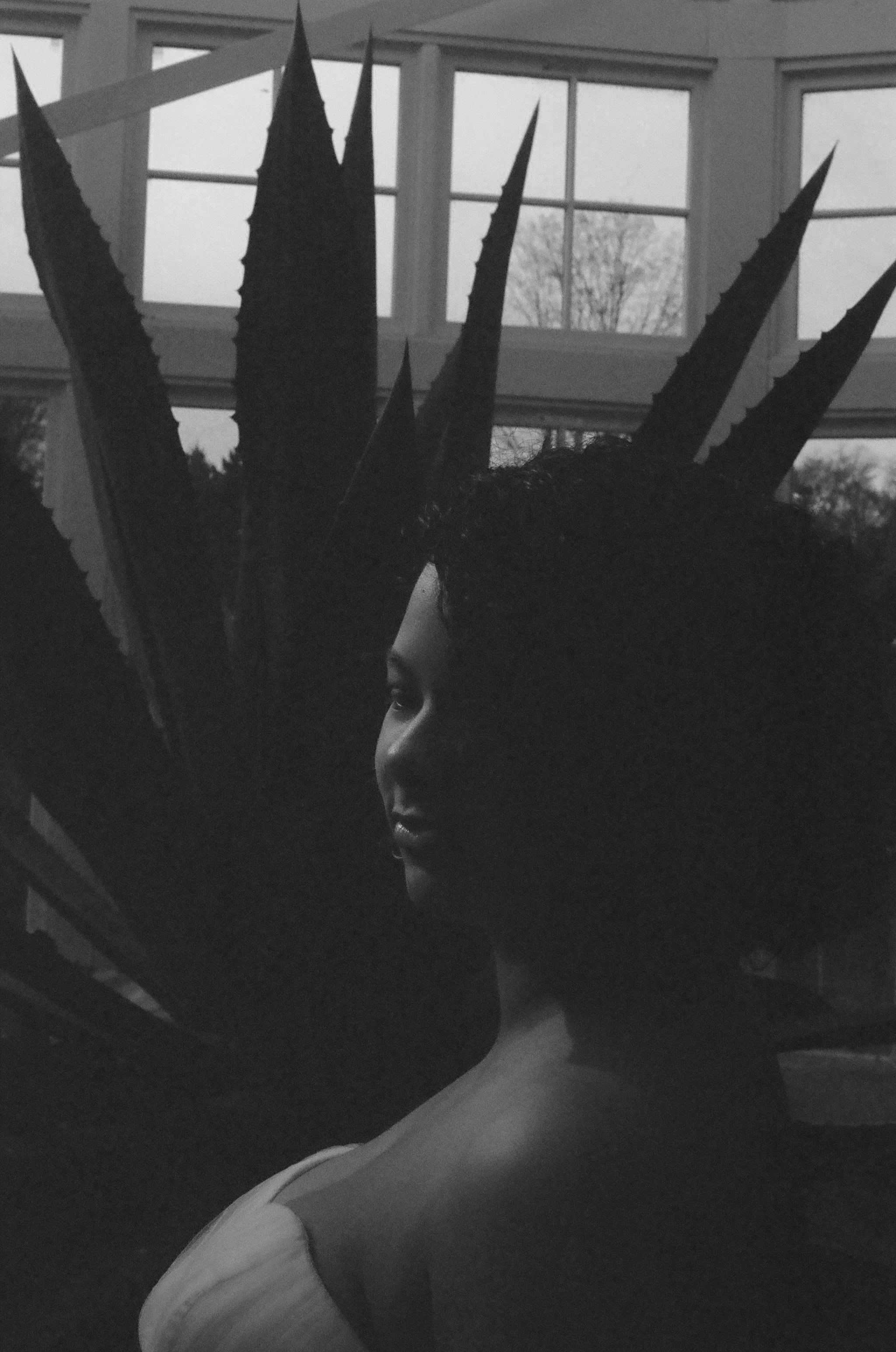 cierra14bw.jpg