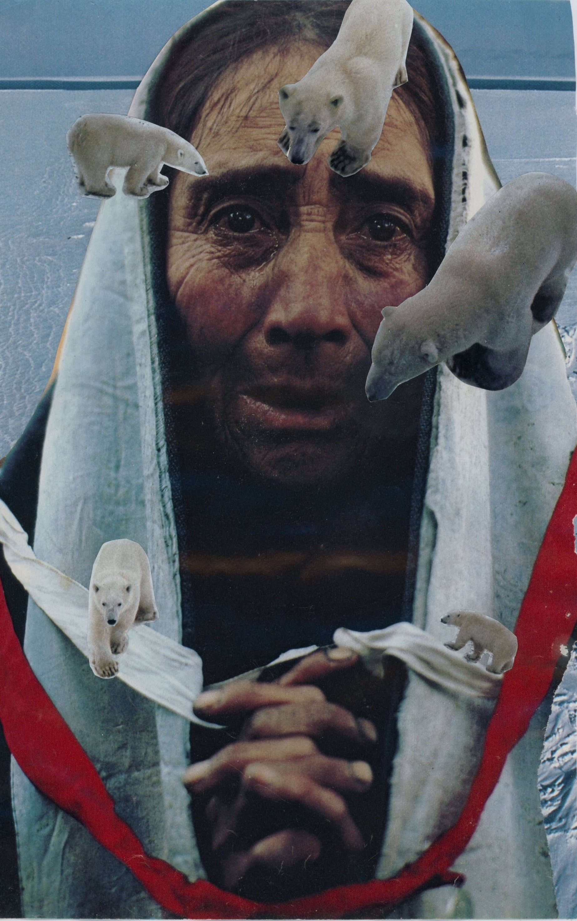 i made this while thinking about climate change / analog collage (2021)