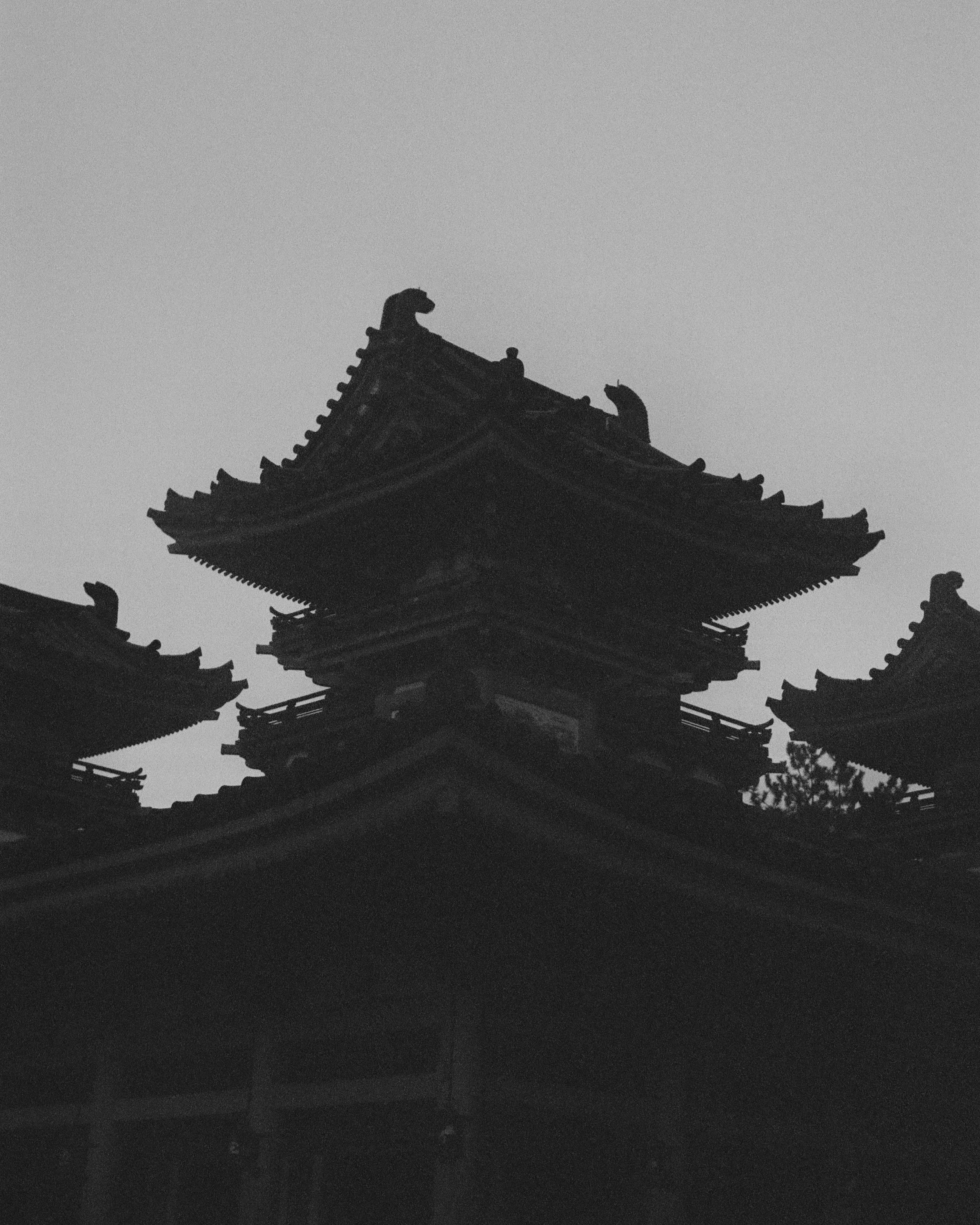 japan1snap.png