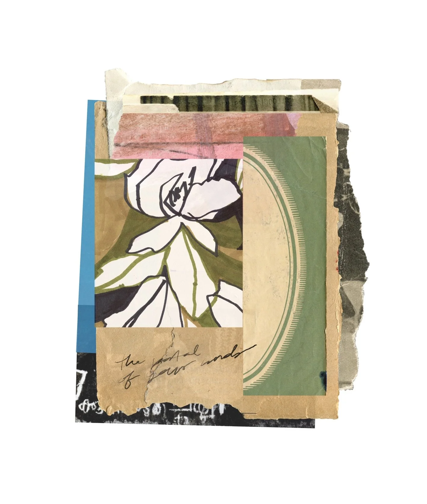 Day 7/100 #the100dayproject 🌸
For today&rsquo;s floral themed creation I scanned a bunch of drawings/bits of paper and collaged with them on my iPad. Have you ever tried digital collage? It&rsquo;s a great way to experiment without the mess!

#loves