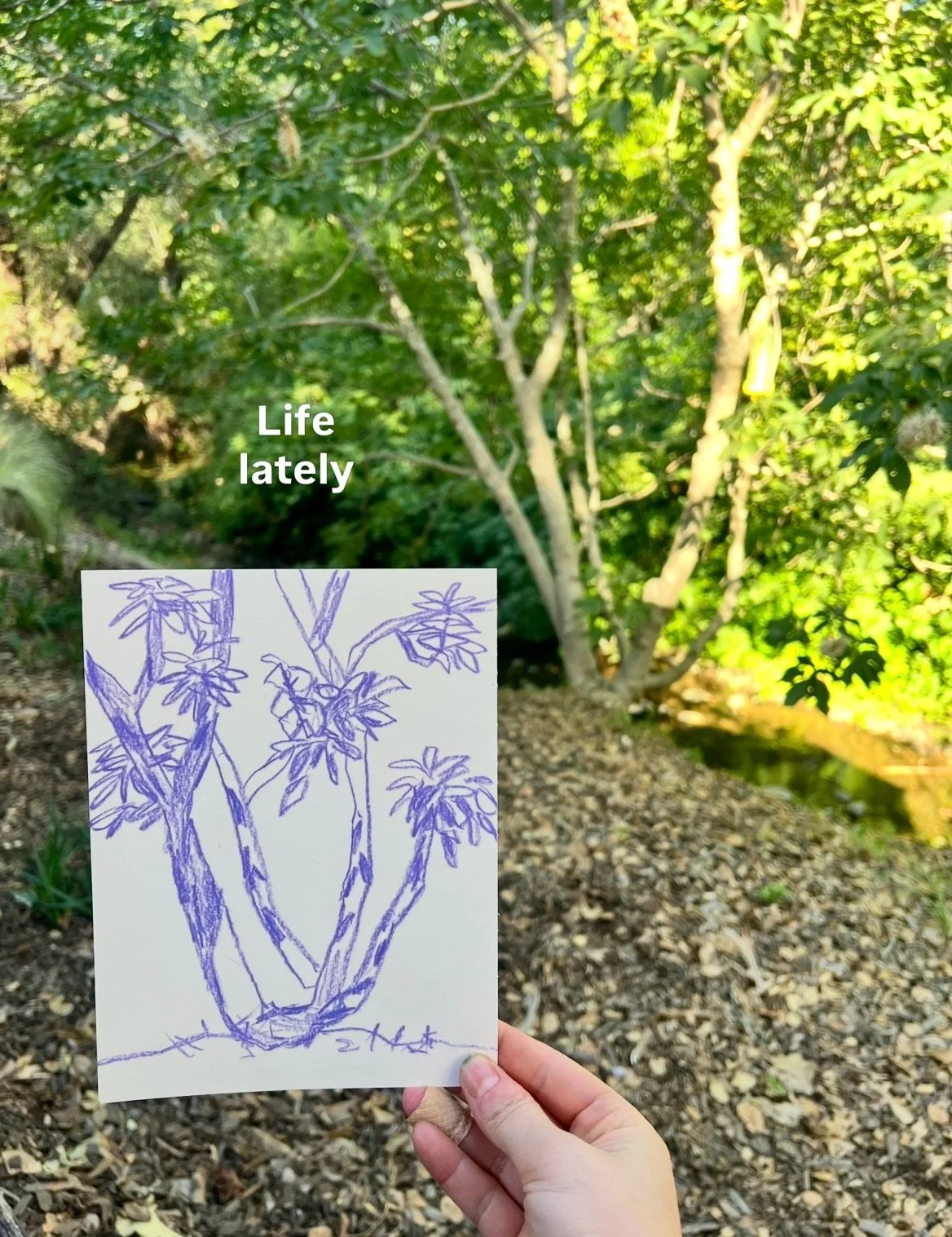 Some recent slices of my life 🌸

#cameraroll #lifeofanartist #slideshow #californian #poetrybyme