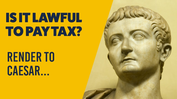 Midweek Update - November 5, 2025