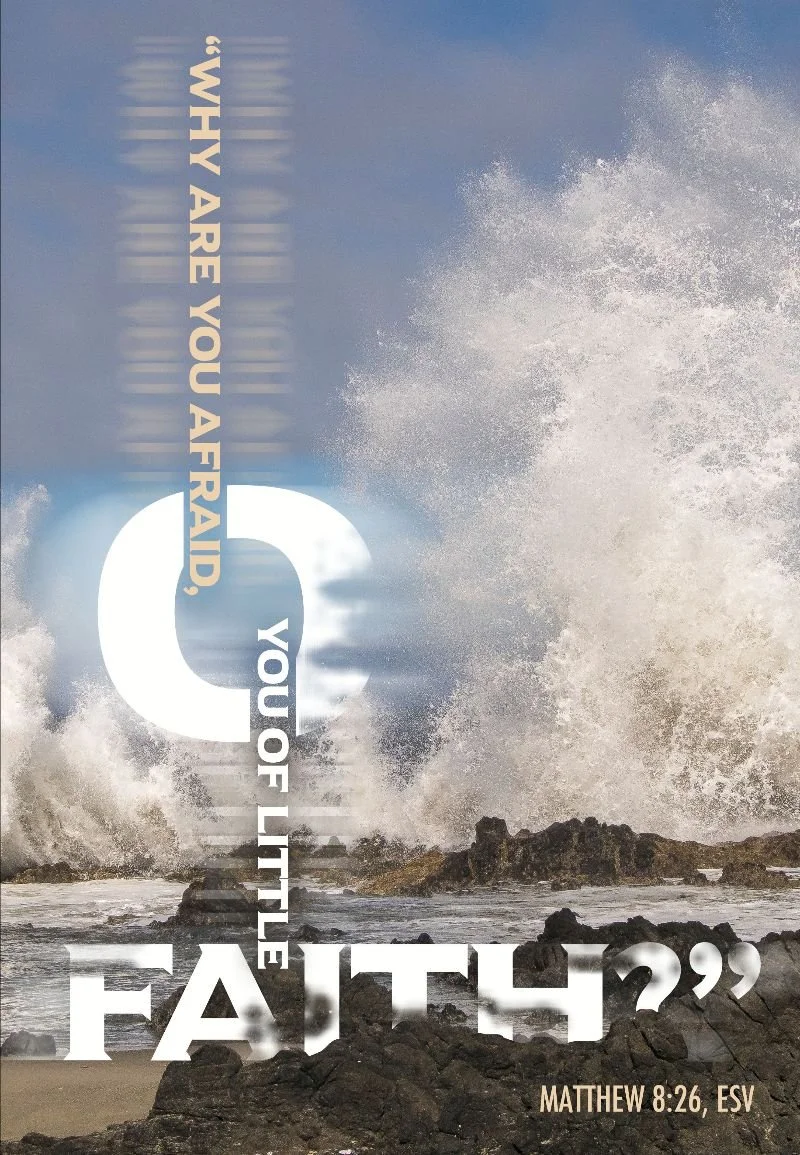 Midweek Update - February 25, 2026