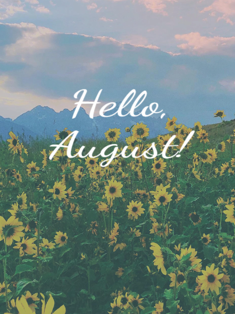 Midweek Update - August 5, 2026