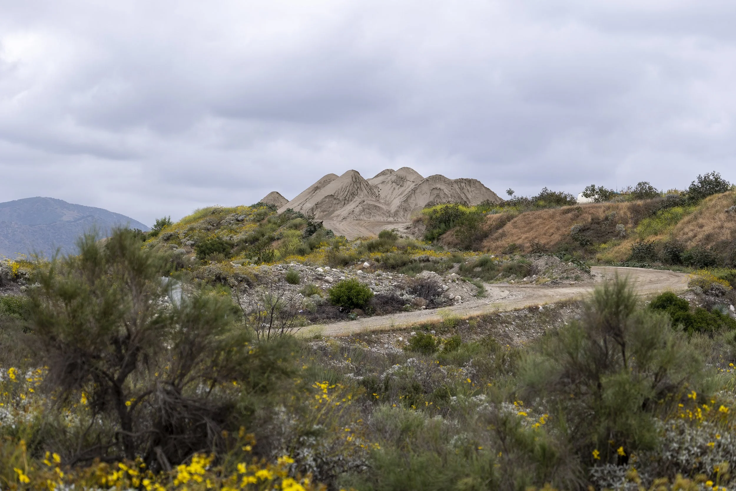 042022_santa_fe_dam-18.jpg