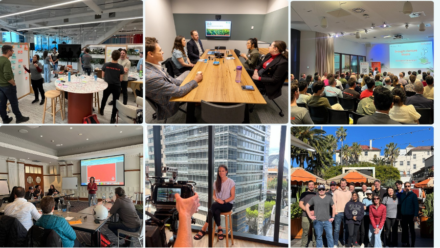 Year in Review: Building Blocks of the Drought Venture Studio